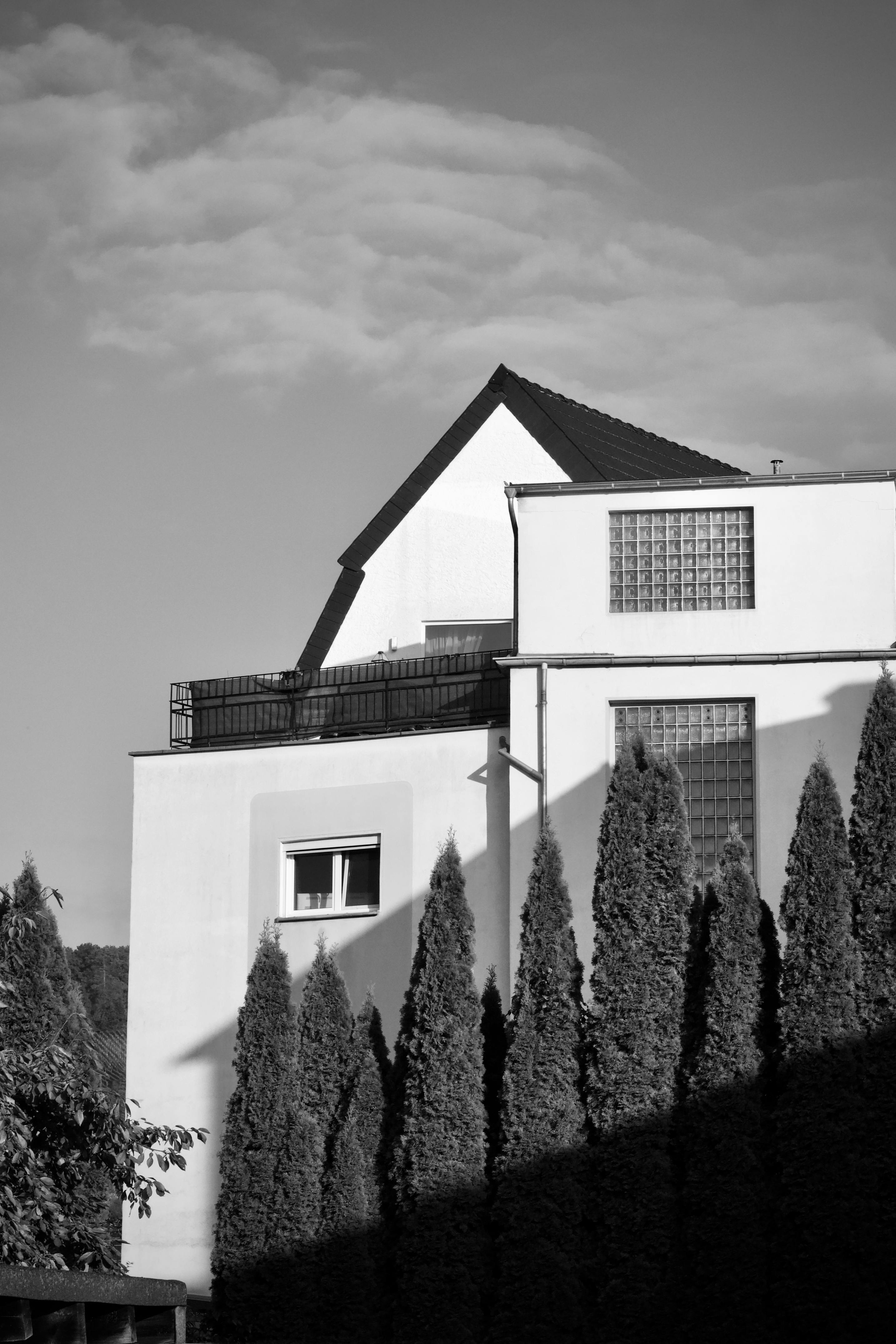 Gratuit Fotografie alb-negru care prezintă linii arhitecturale moderne cu un rând de copaci. Fotografie de stoc