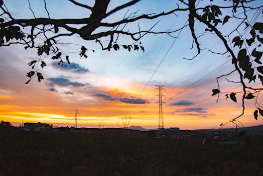 树枝框起的剪影电力线风景，映衬着充满活力的日落天空