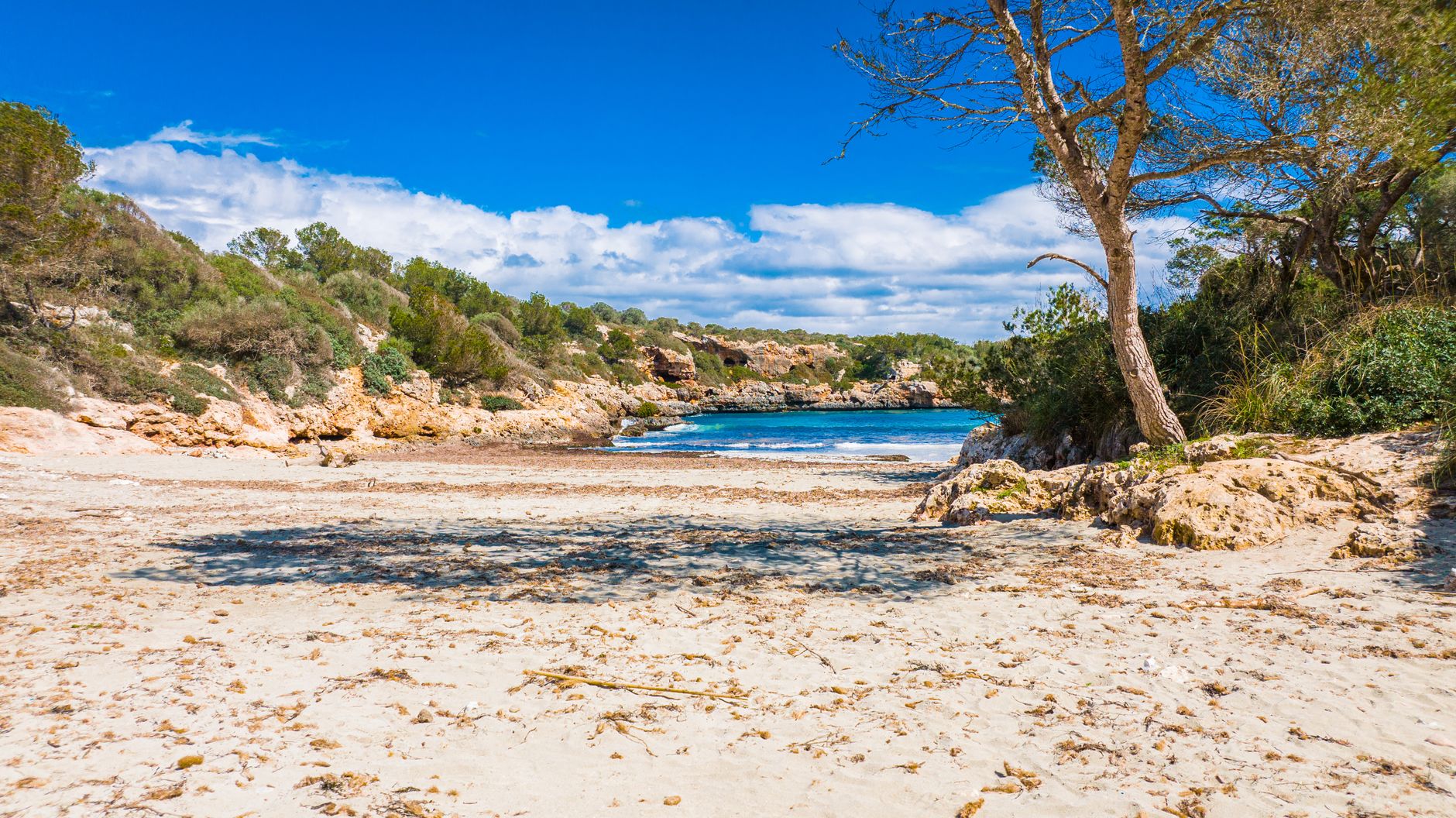 Non-stop return flights to Mallorca from London starting from £33