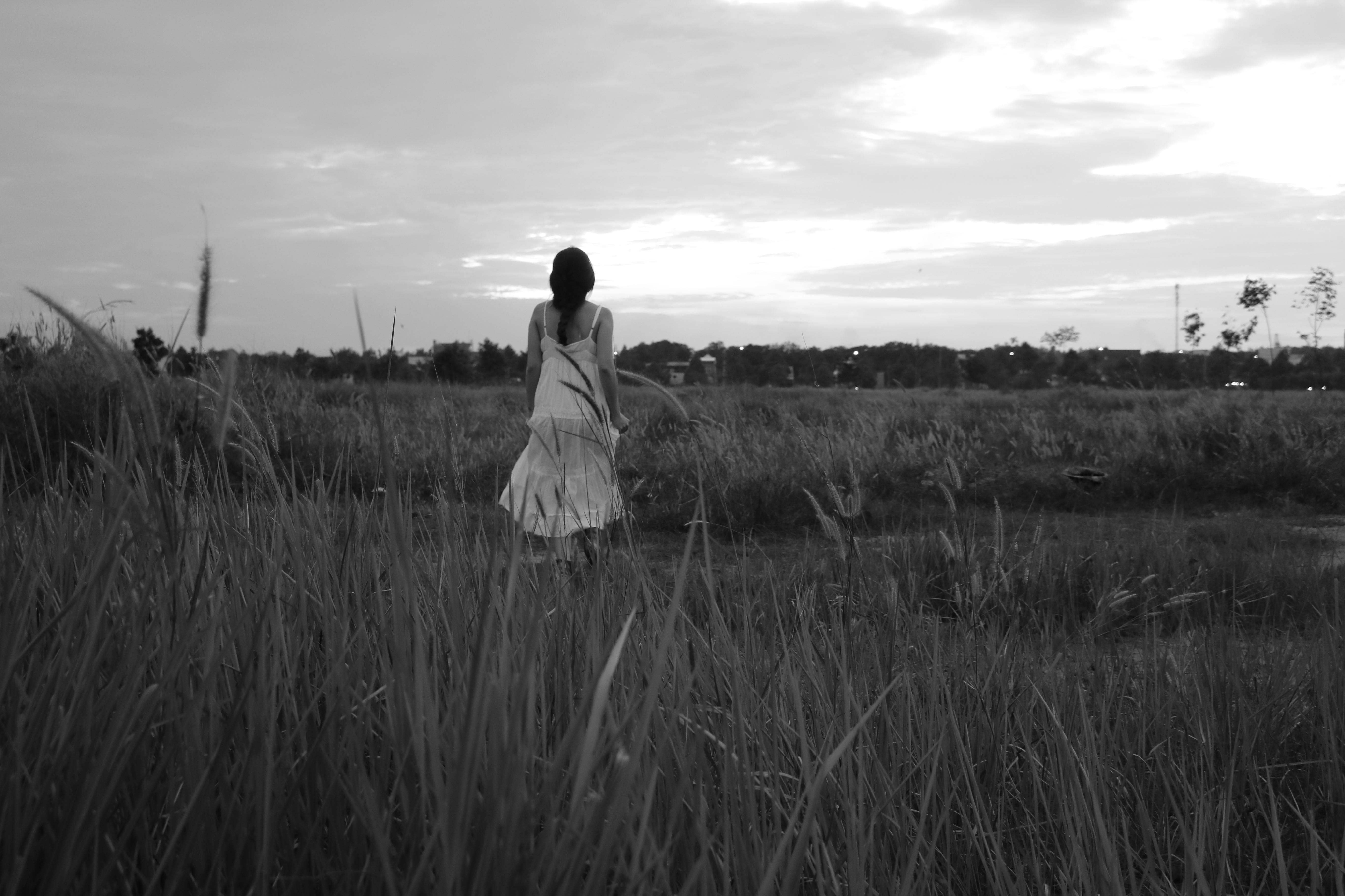 ฟรี คลังภาพถ่ายฟรี ของ cỏ lau, กลางแจ้ง, การท่องเที่ยว คลังภาพถ่าย