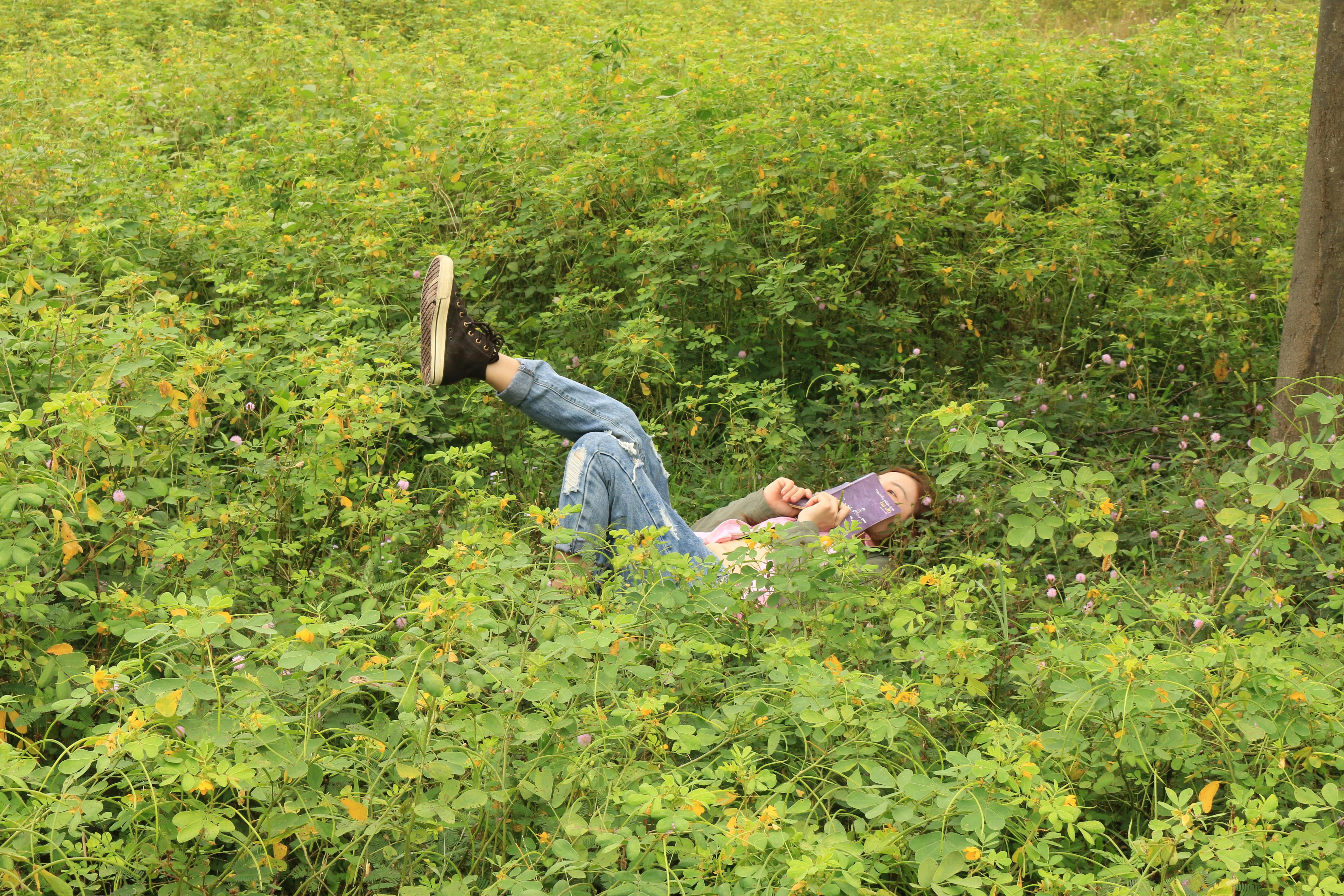Ücretsiz Yemyeşil bir çayırda kitap okuyan, doğanın huzurlu anının tadını çıkaran bir kişi. Stok Fotoğraflar
