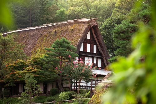 Free Traditional Gassho-Zukuri house surrounded by lush greenery in Takayama, Japan. Stock Photo