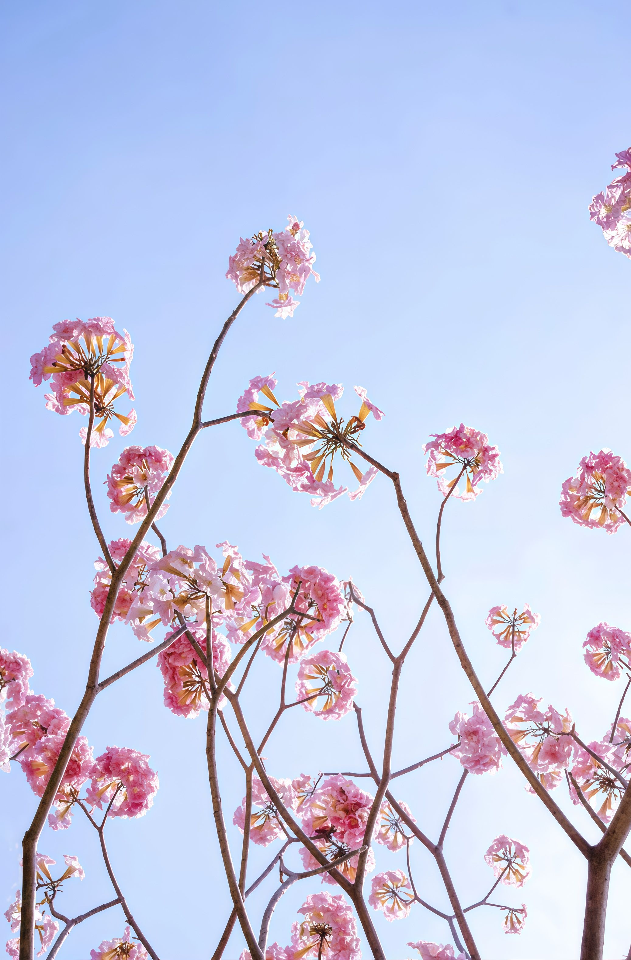 Free Spring Wallpapers Photos, Download The BEST Free Free Spring ...