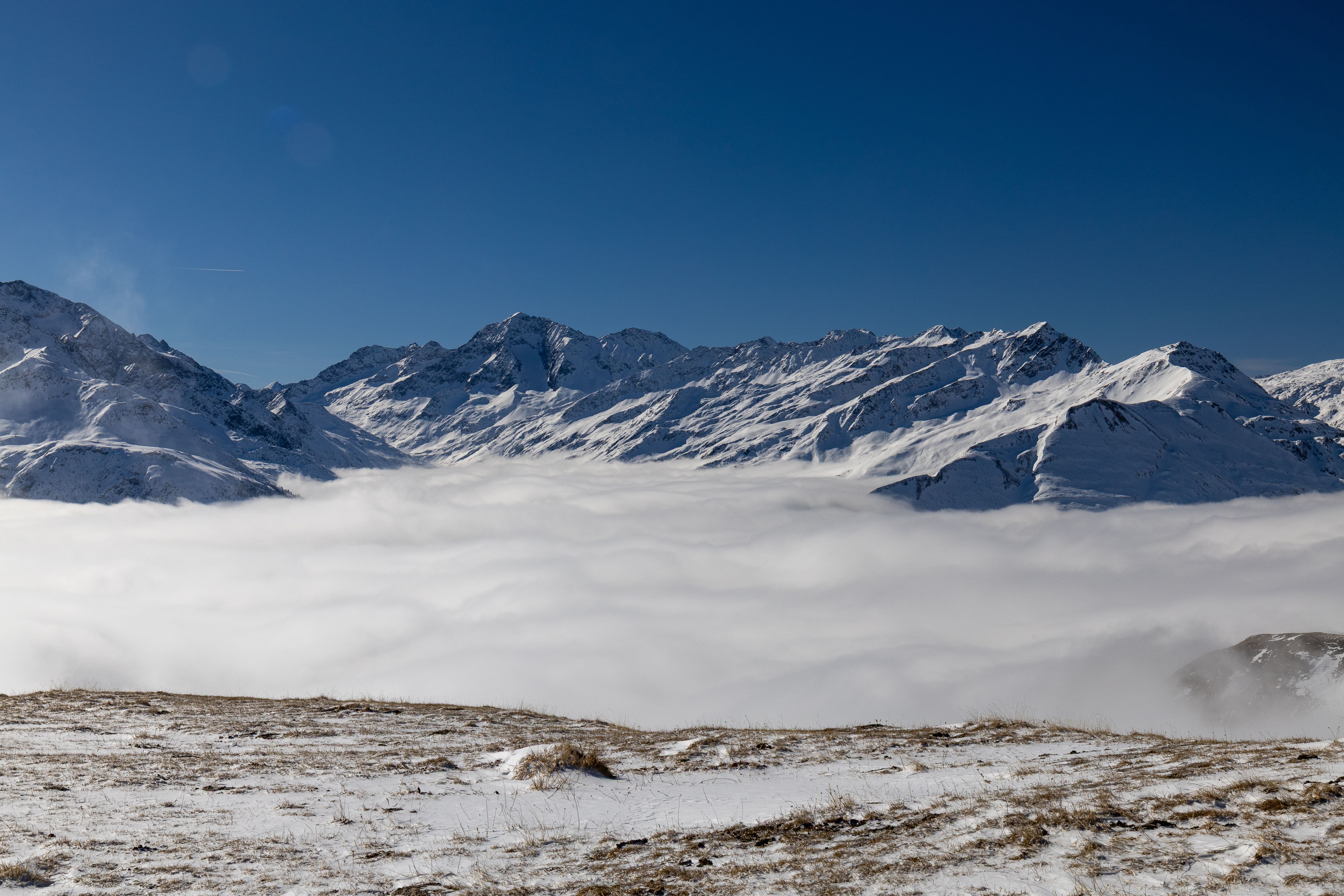 Heiligenblut