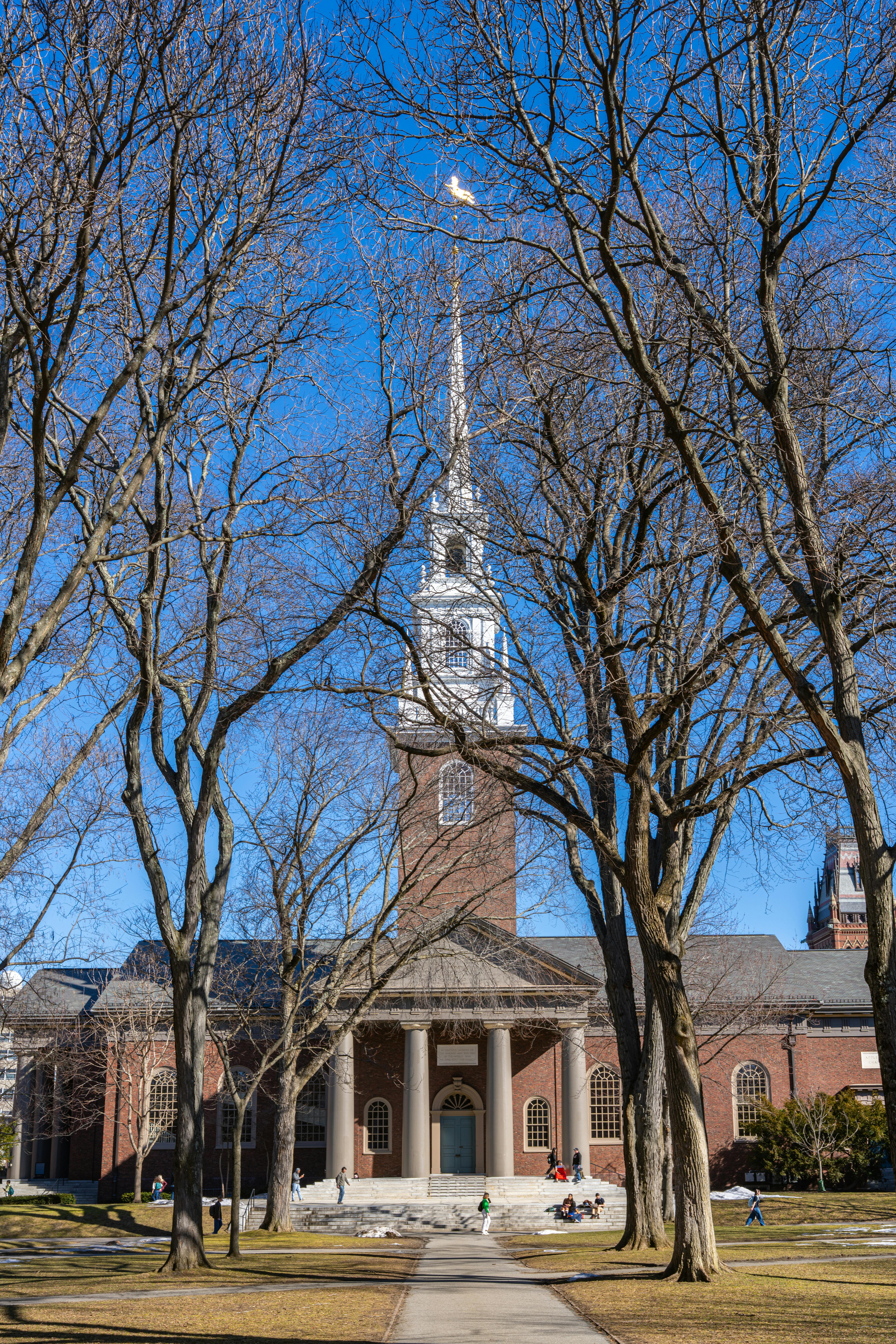 Harvard University Free Cybersecurity Course 🇺🇸 | No Enrollment Fee