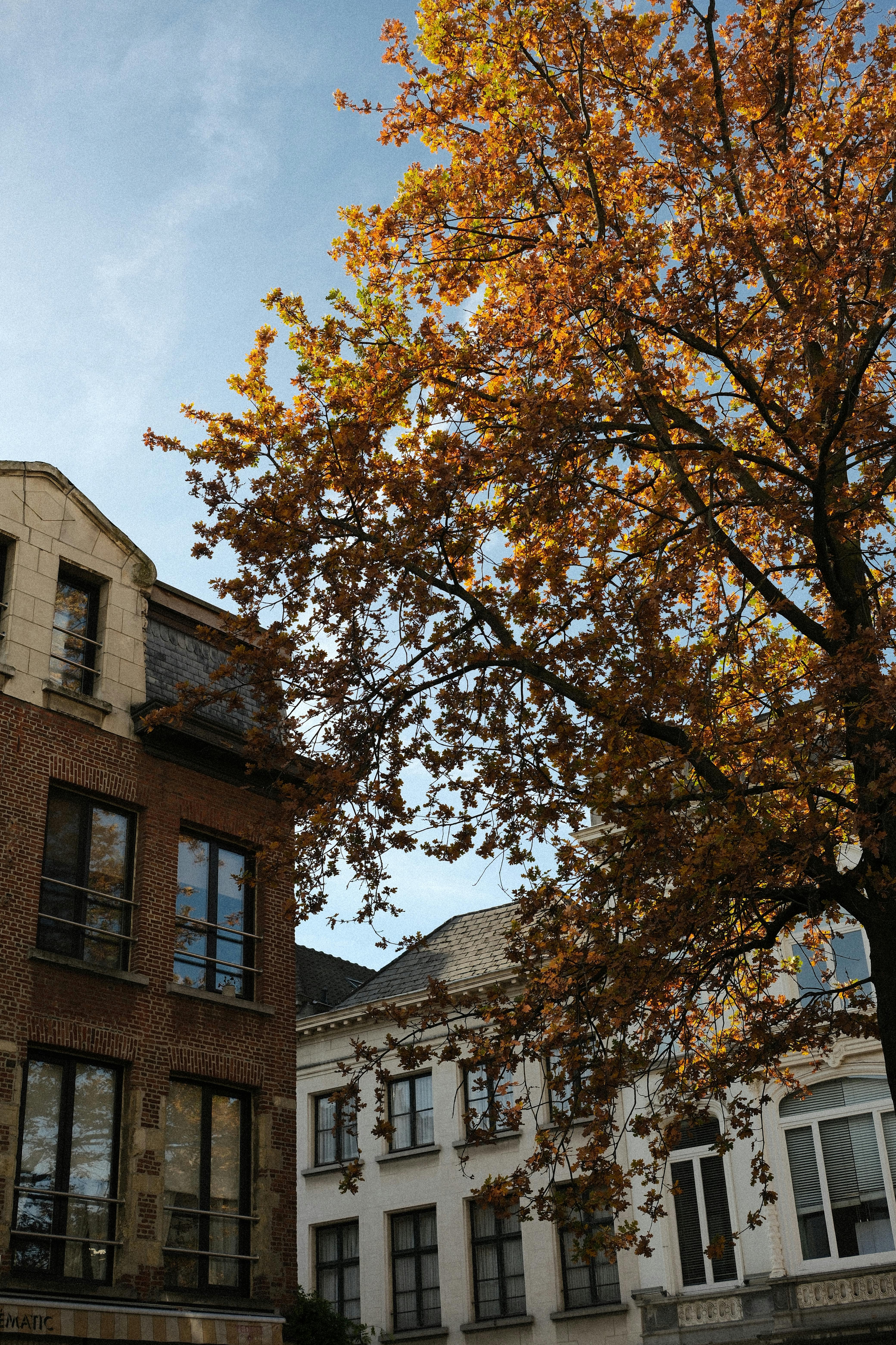 Flanders Fields & Westhoek travel photo 4