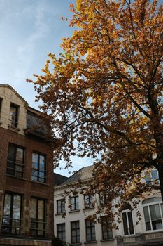 Charming autumn view of architecture and trees in Antwerp, Belgium.