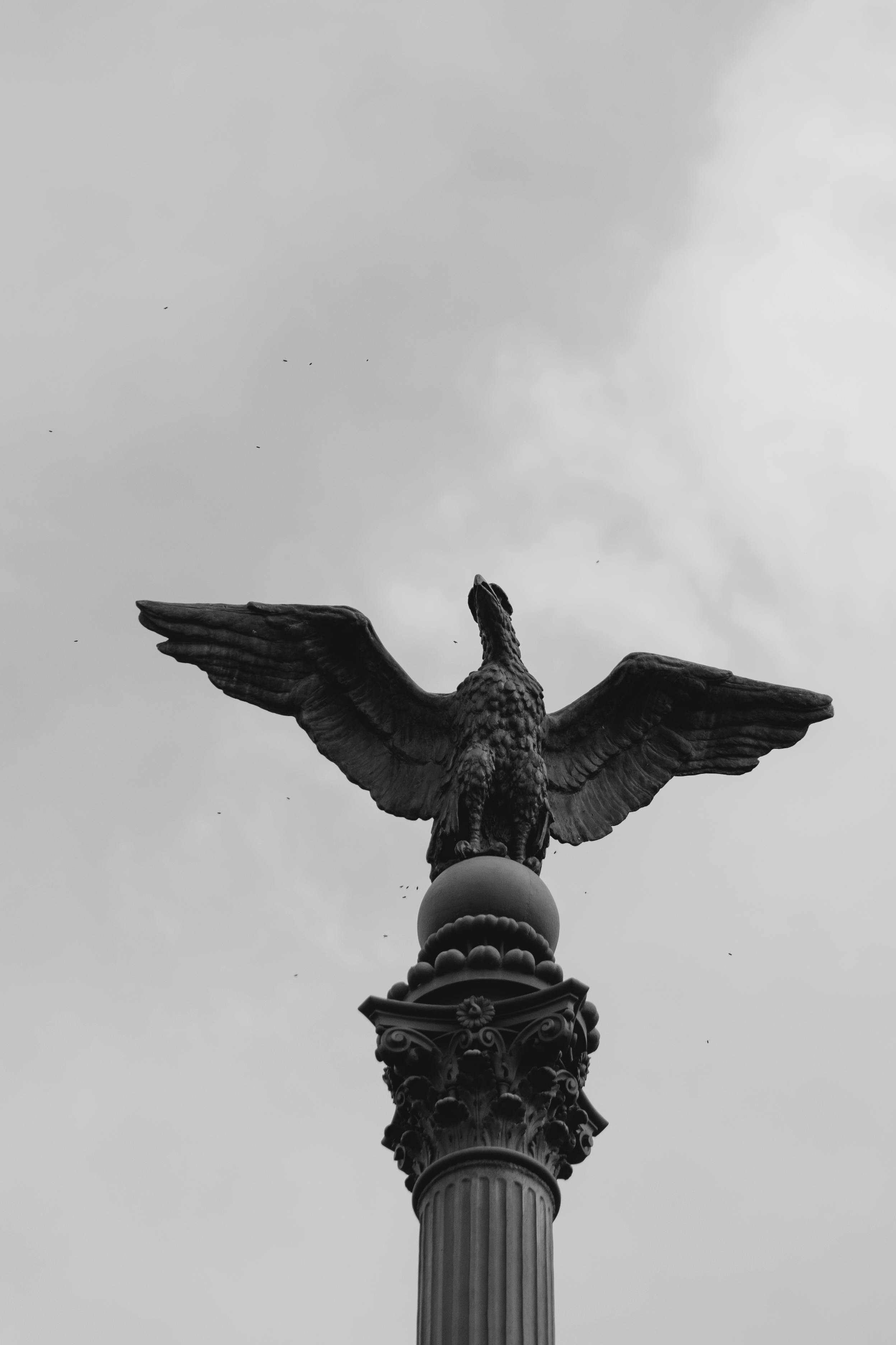 Gratis Fotografia in bianco e nero di una statua di un'aquila in cima a una colonna decorata, sullo sfondo di un cielo nuvoloso. Foto a disposizione