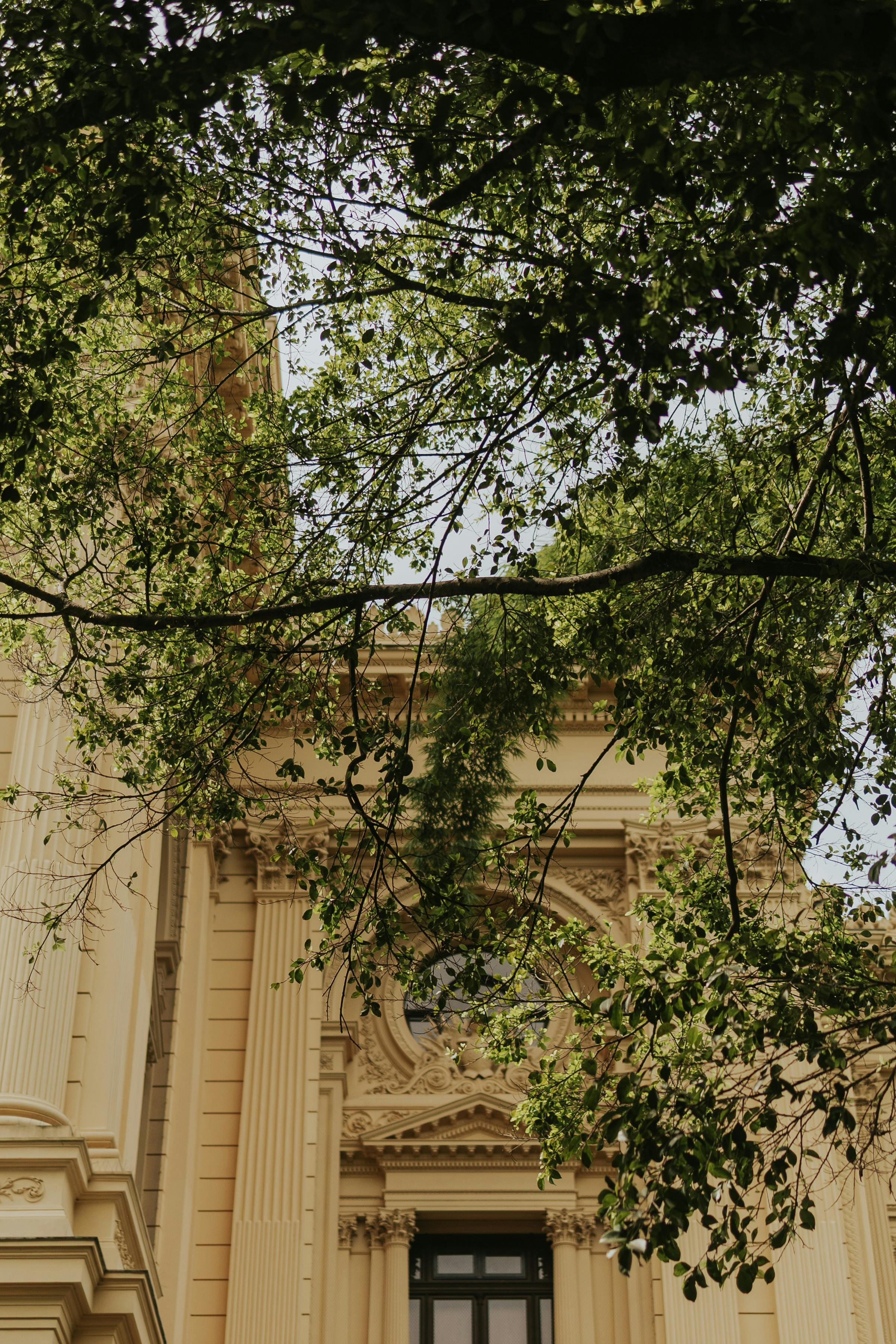 Gratis Veduta della facciata di un edificio storico parzialmente nascosta da una rigogliosa vegetazione, che ne esalta l'eleganza architettonica. Foto a disposizione