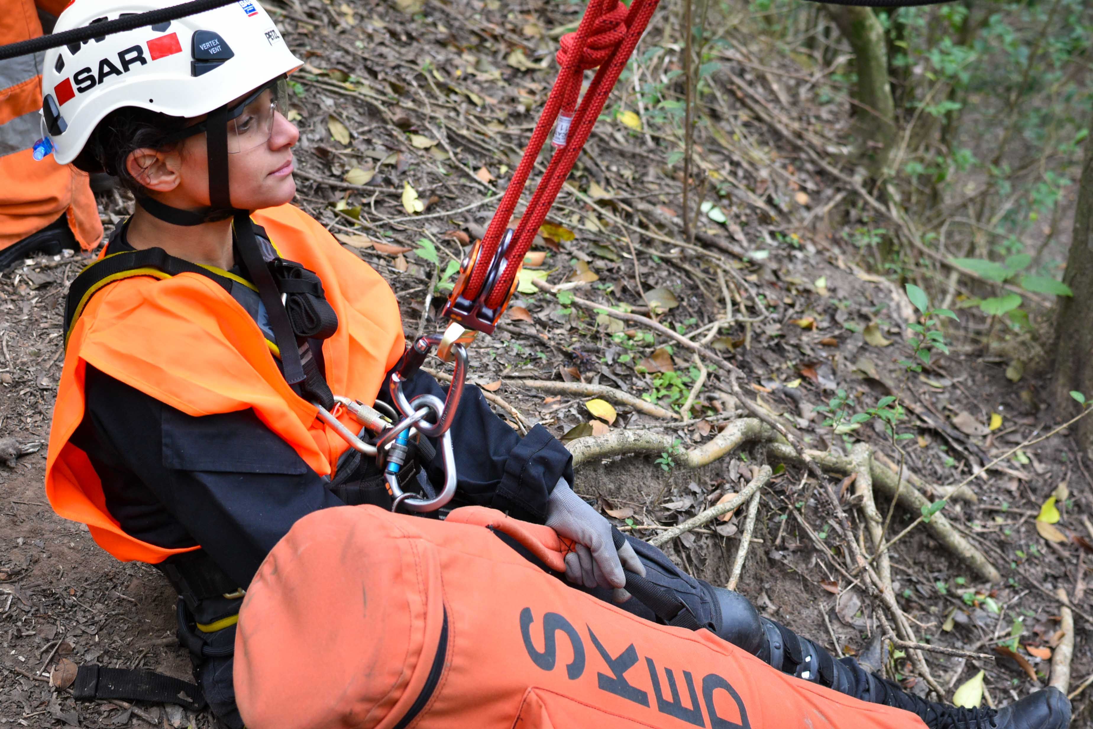 Rescue Training in Argentinian Forest · Free Stock Photo