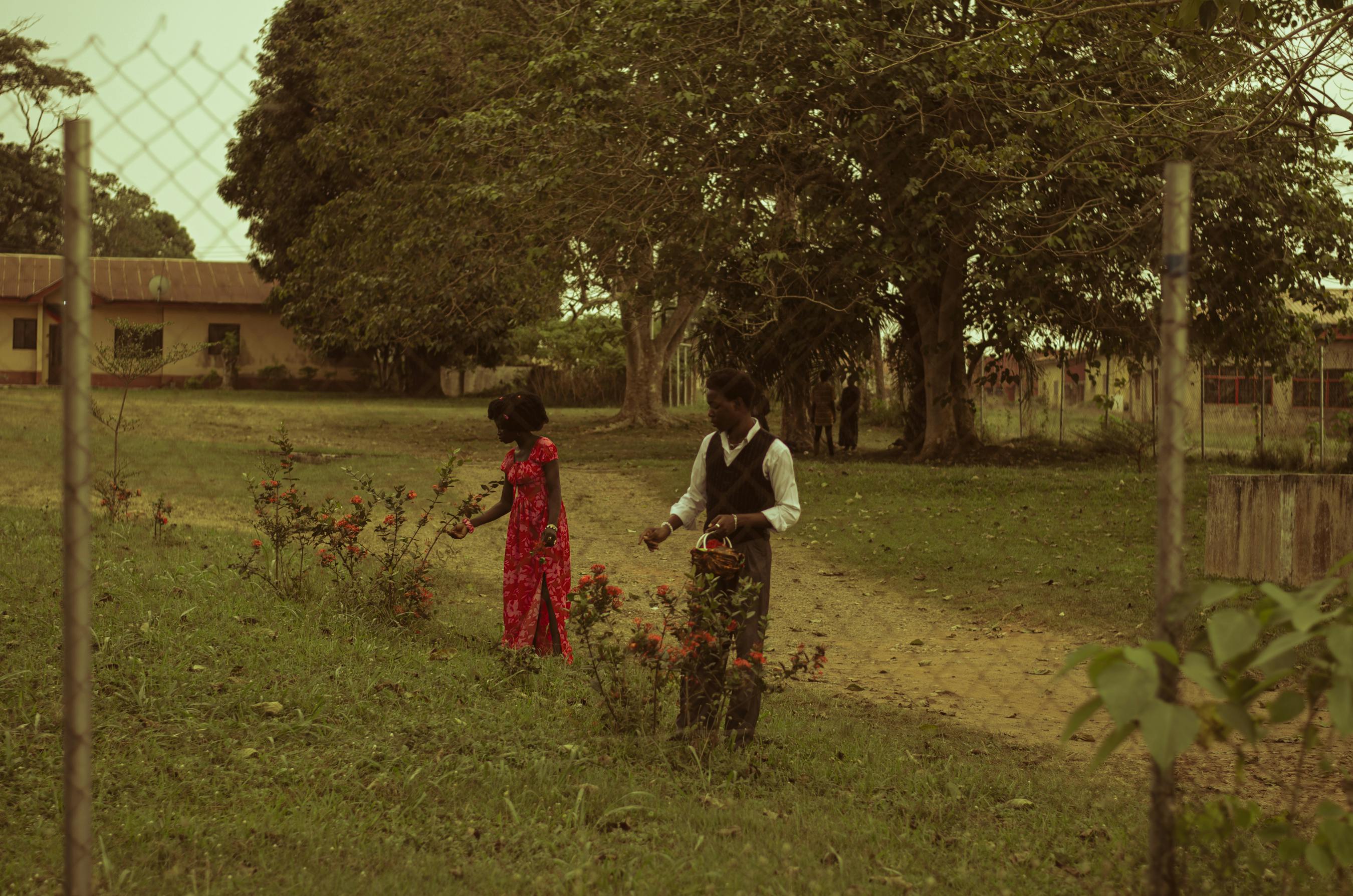 Gratuit Photos gratuites de africain, afrique, agriculture Photos