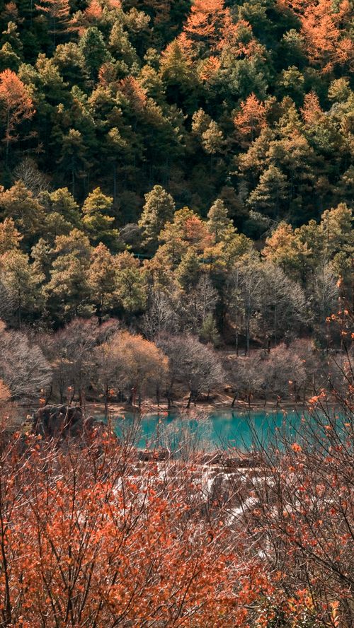 Free Beautiful autumn forest landscape with a turquoise lake in Lijiang, China. Stock Photo