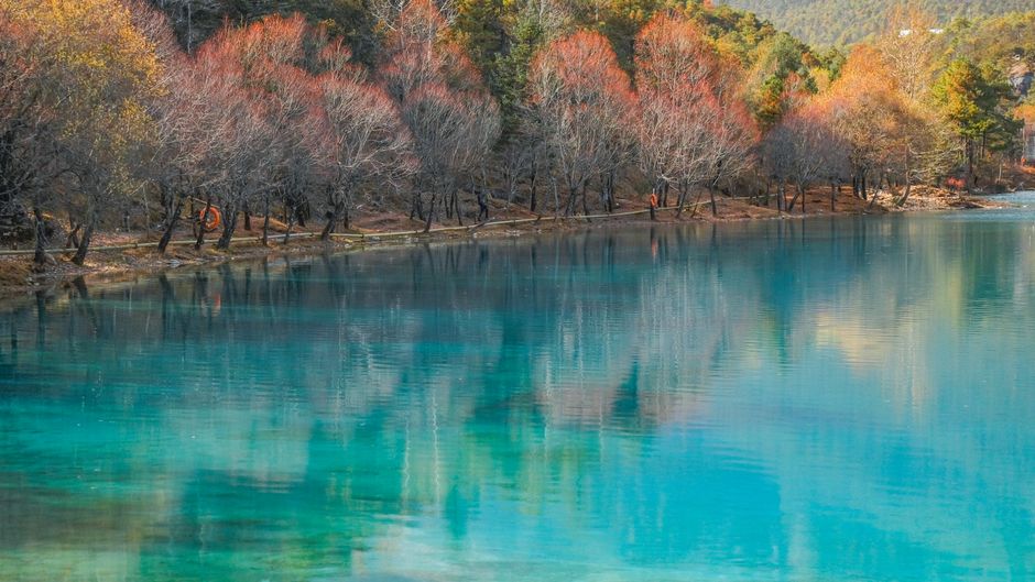Beautiful autumn trees reflecting in a tranquil lake in Lijiang, China.
