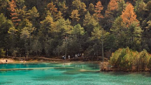 Free A serene autumn scene with colorful trees by a turquoise lake in Lijiang, China. Stock Photo