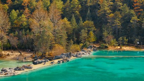 Free Vibrant turquoise lake surrounded by autumn foliage near Lijiang in China, showcasing nature's beauty. Stock Photo