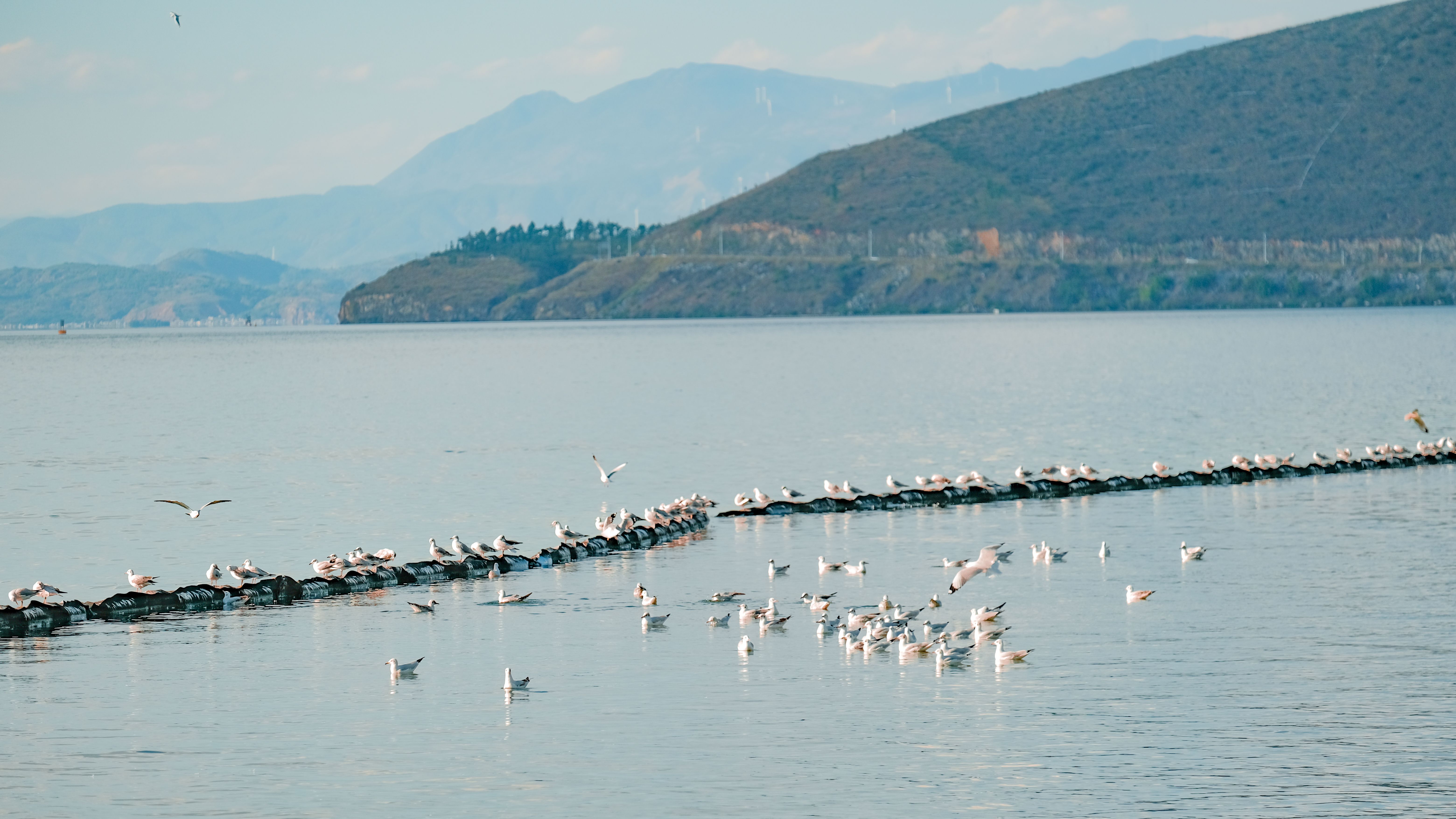 Dali Erhai Lake Cycling Guide 2026: Full Circuit, Lakeside Villages & Best Stops