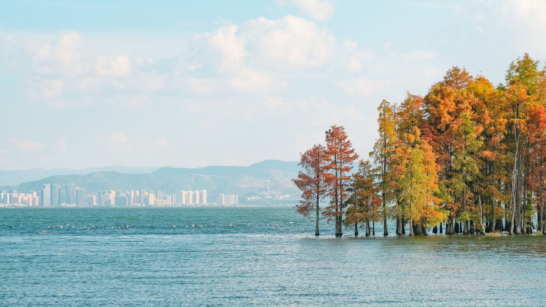The Rise of Experimental Data Lakes: A New Frontier in Data Management