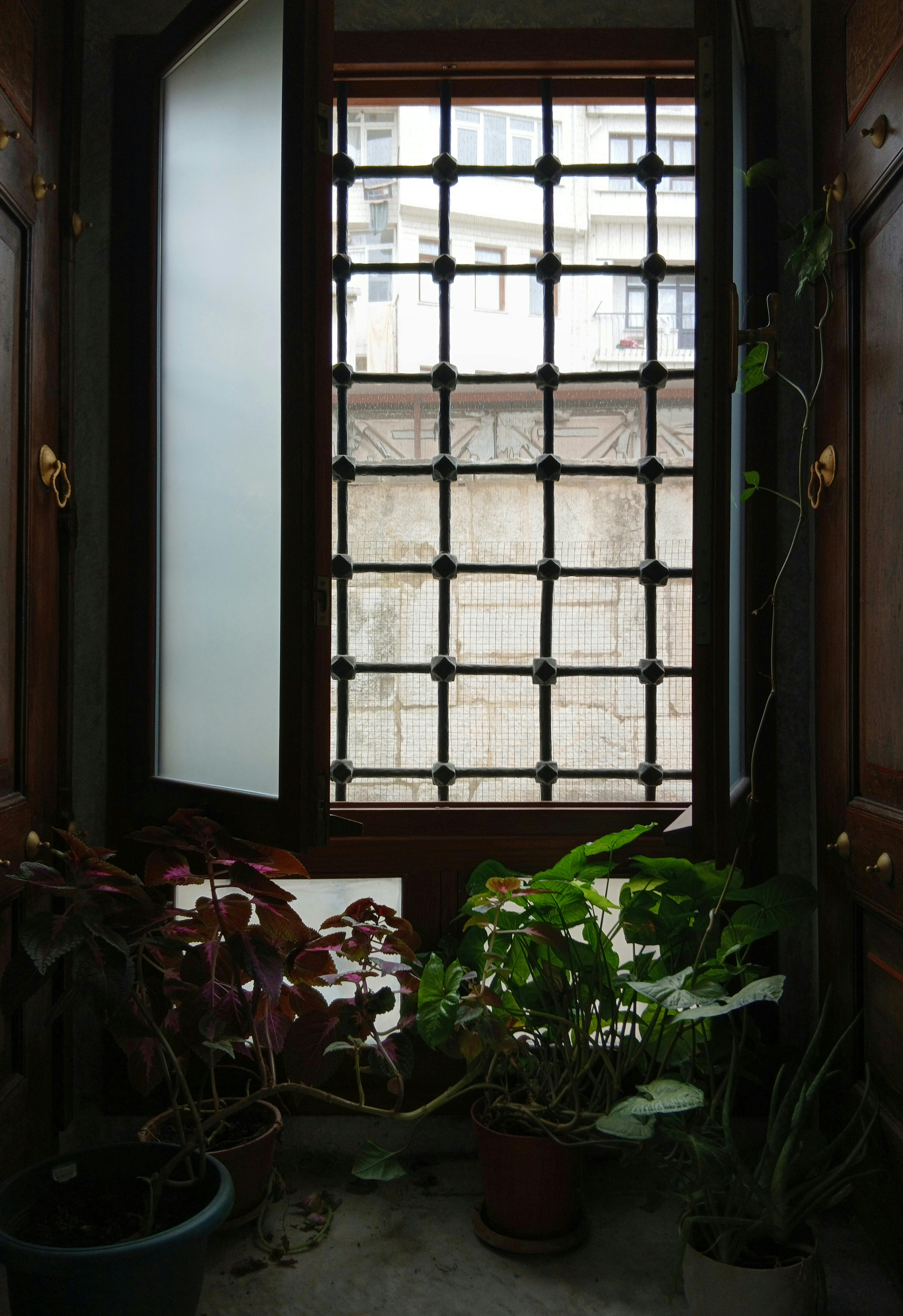 Free Indoor plants by a window creating a cozy, natural nook. Stock Photo
