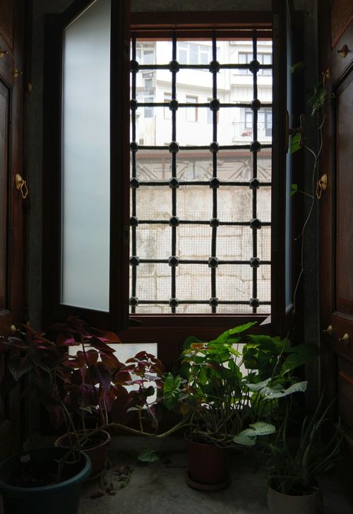 Free Indoor plants by a window creating a cozy, natural nook. Stock Photo
