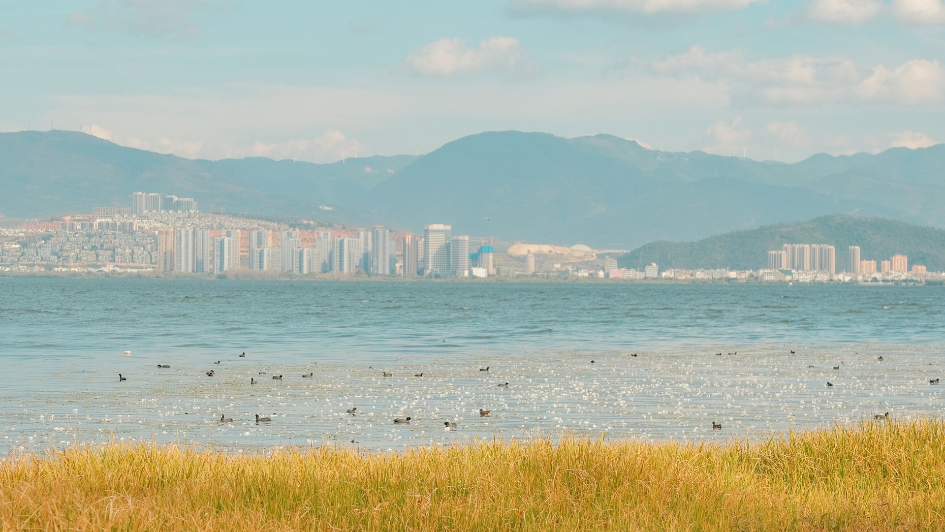 北海濕地漂浮綠洲
