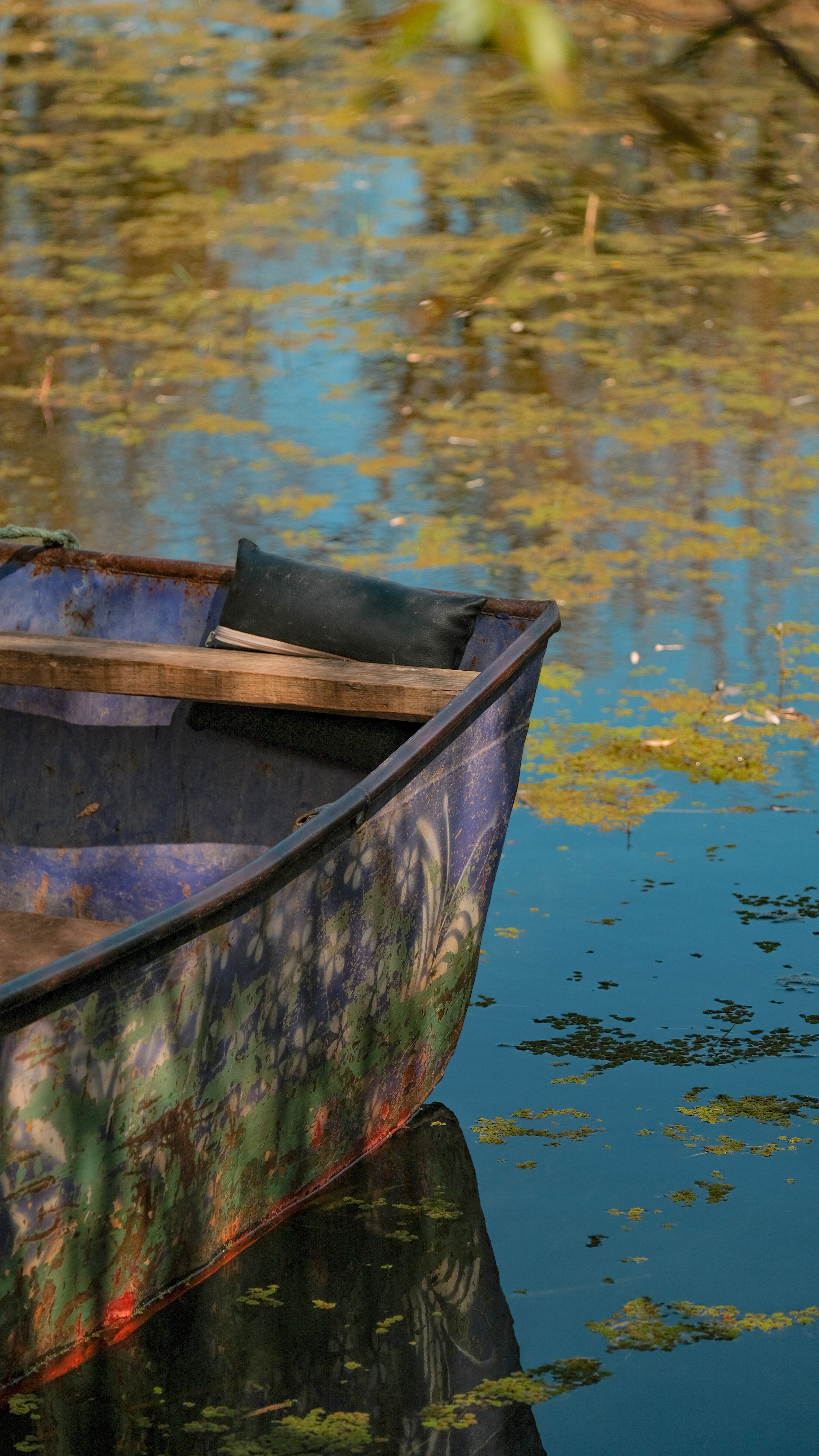 Fotomural Fotolia