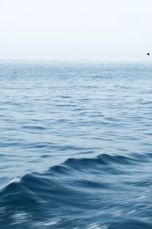 Free Peaceful ocean scene with gentle waves and a clear sky creates a tranquil atmosphere. Stock Photo