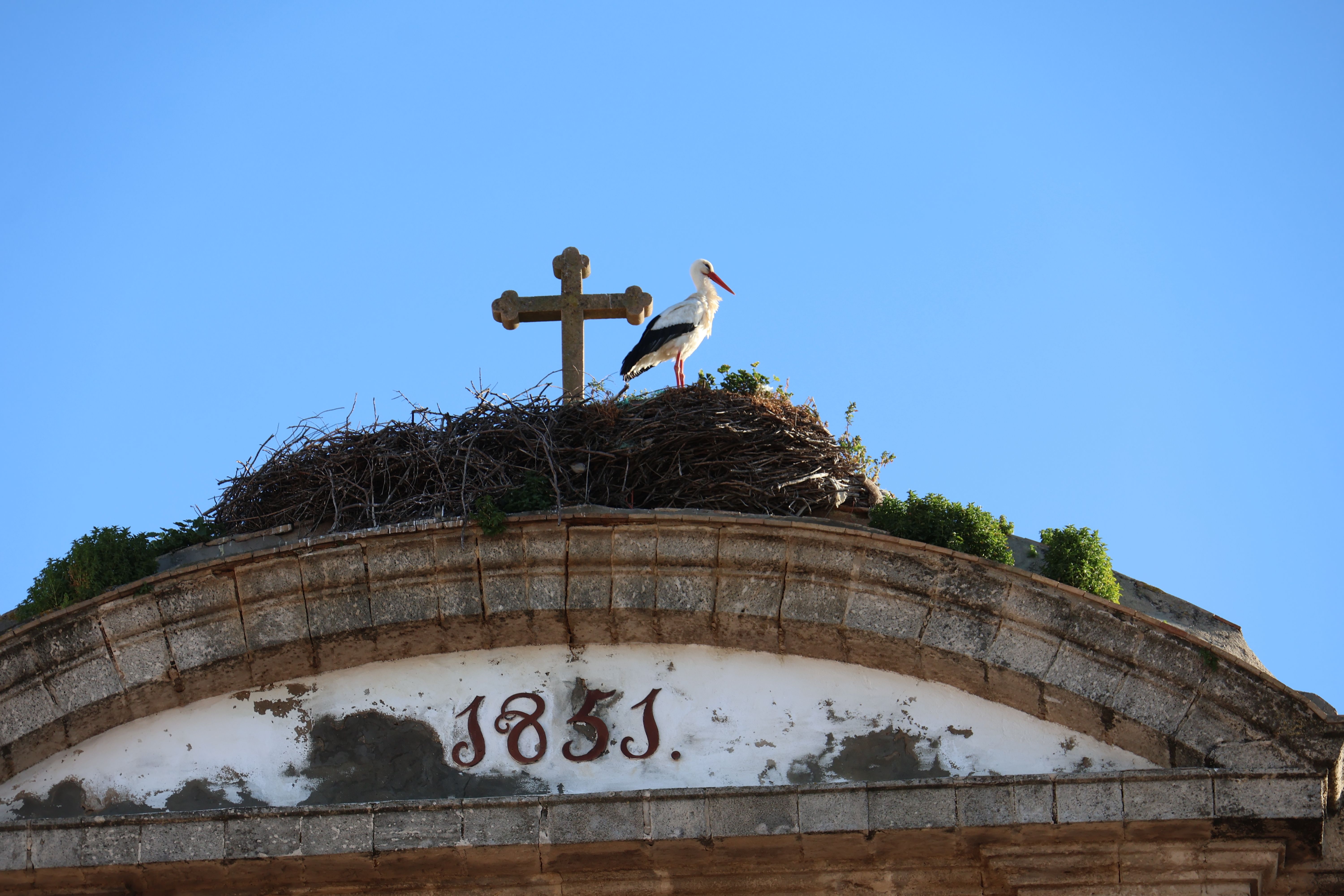 Stork Nesting atop Historical Building in El Puerto · Free Stock Photo