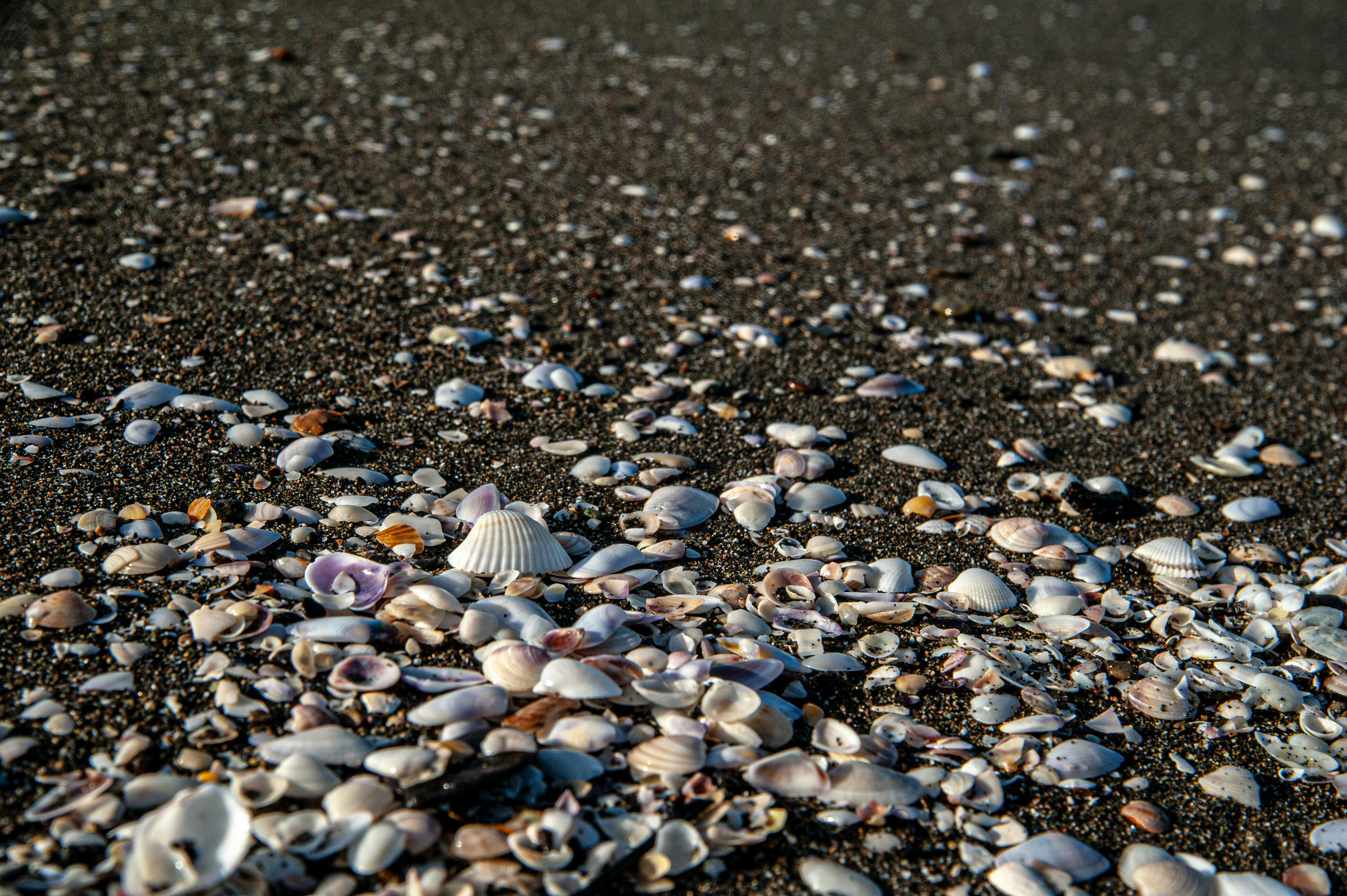 Gratis Immagine gratuita di acqua, ambiente, asia Foto a disposizione
