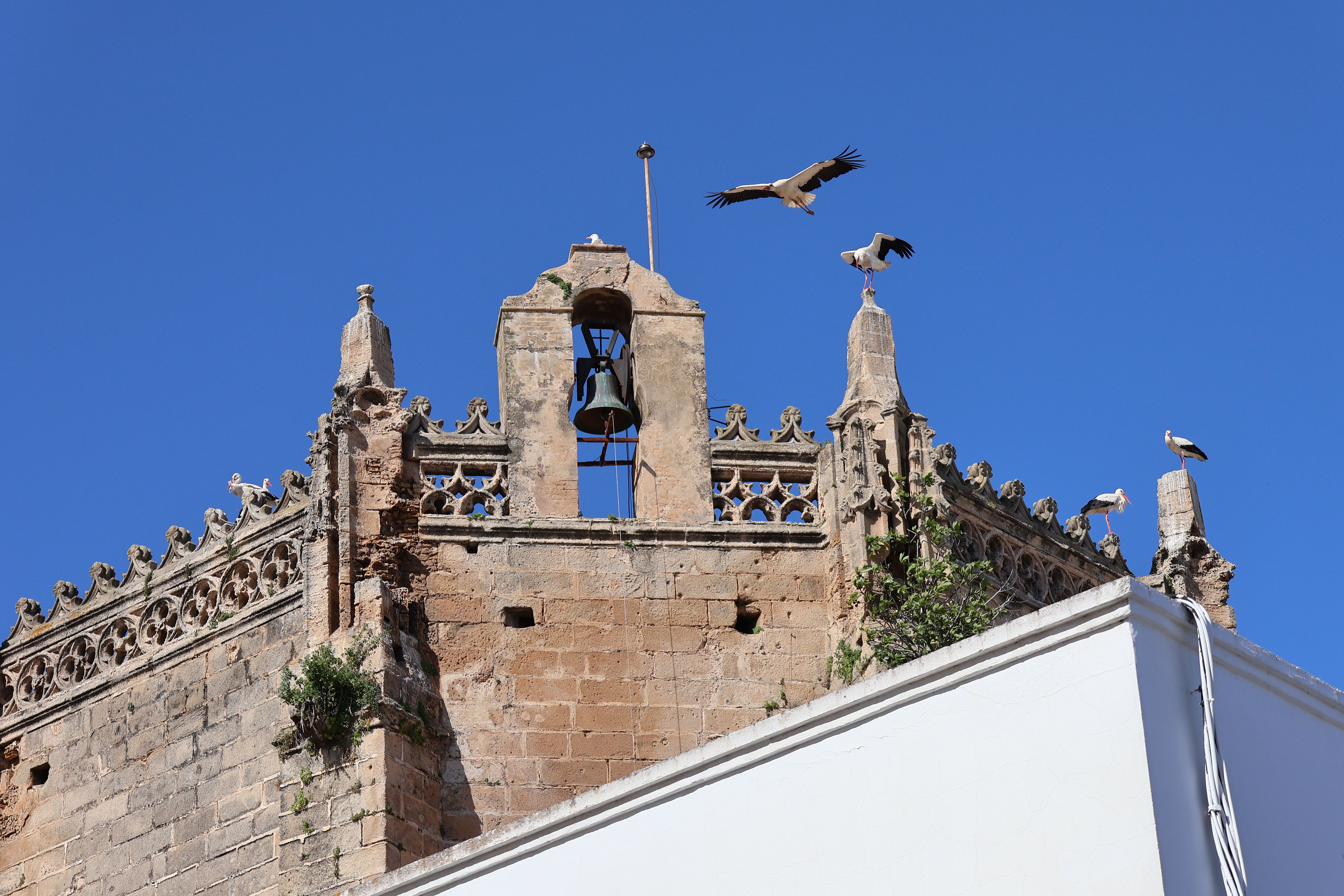 Mirador del Huerto de las Monjas