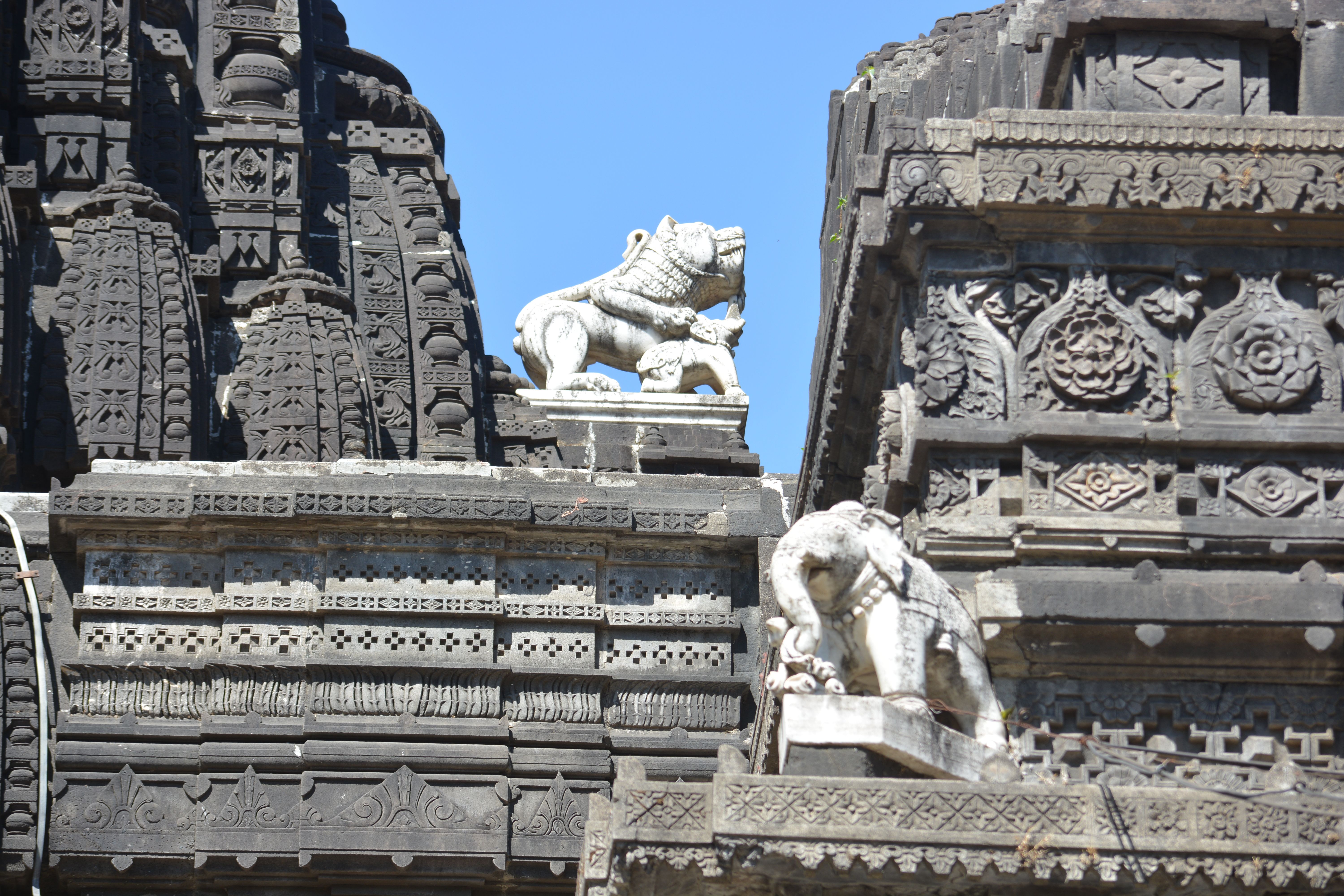lions avoid elephants