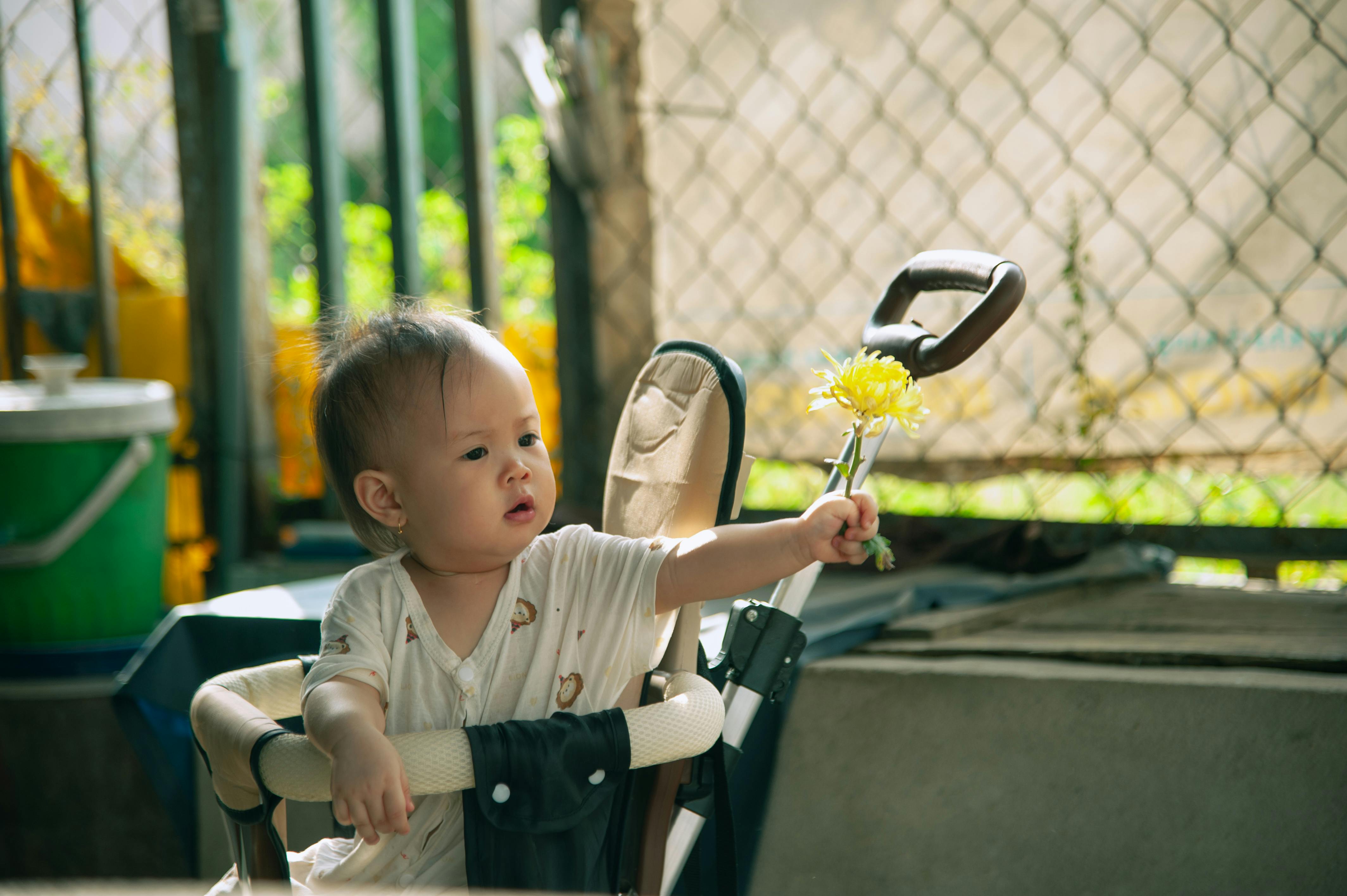 Ücretsiz açık hava, aile, Aşk içeren Ücretsiz stok fotoğraf Stok Fotoğraflar