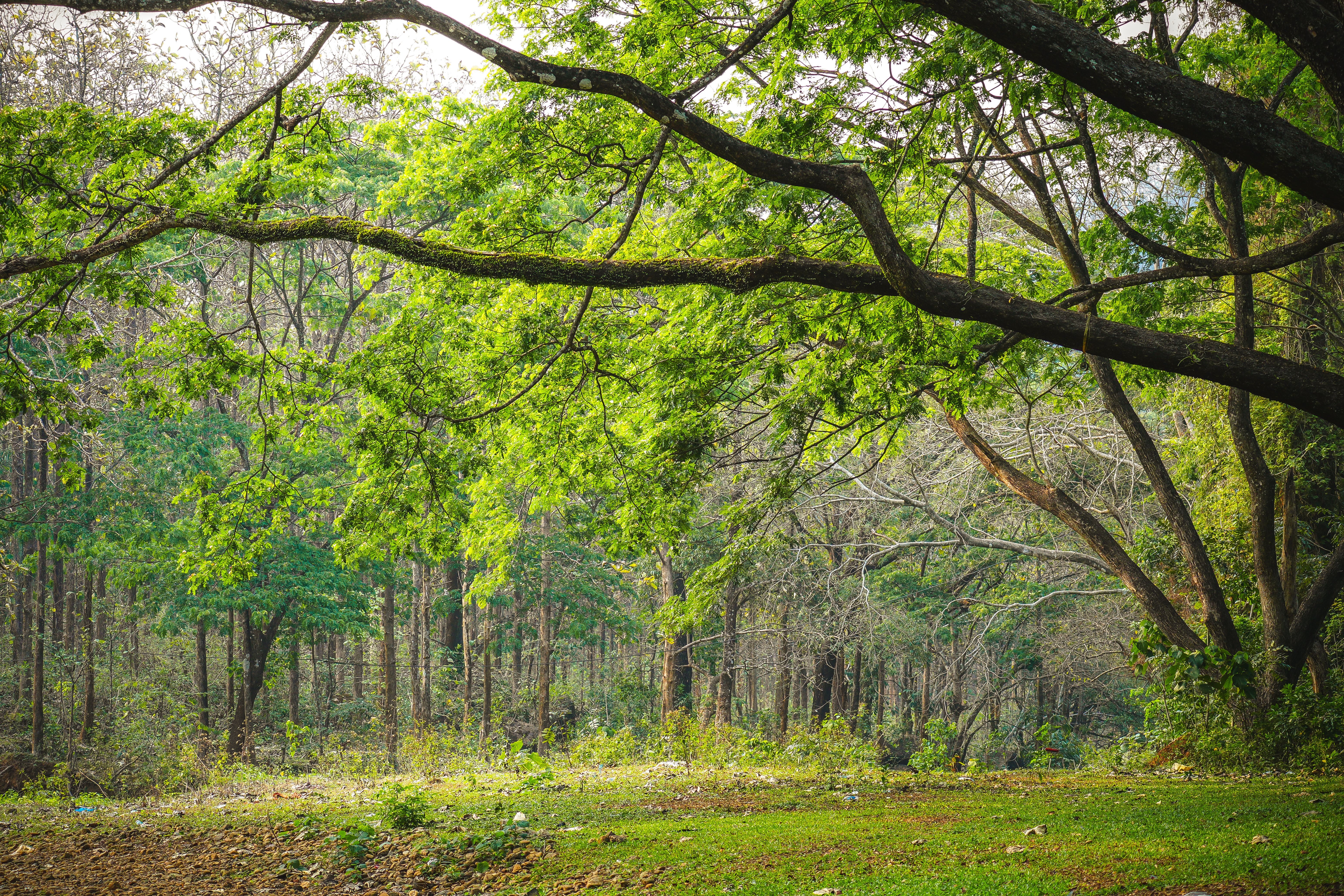 Thenmala, India