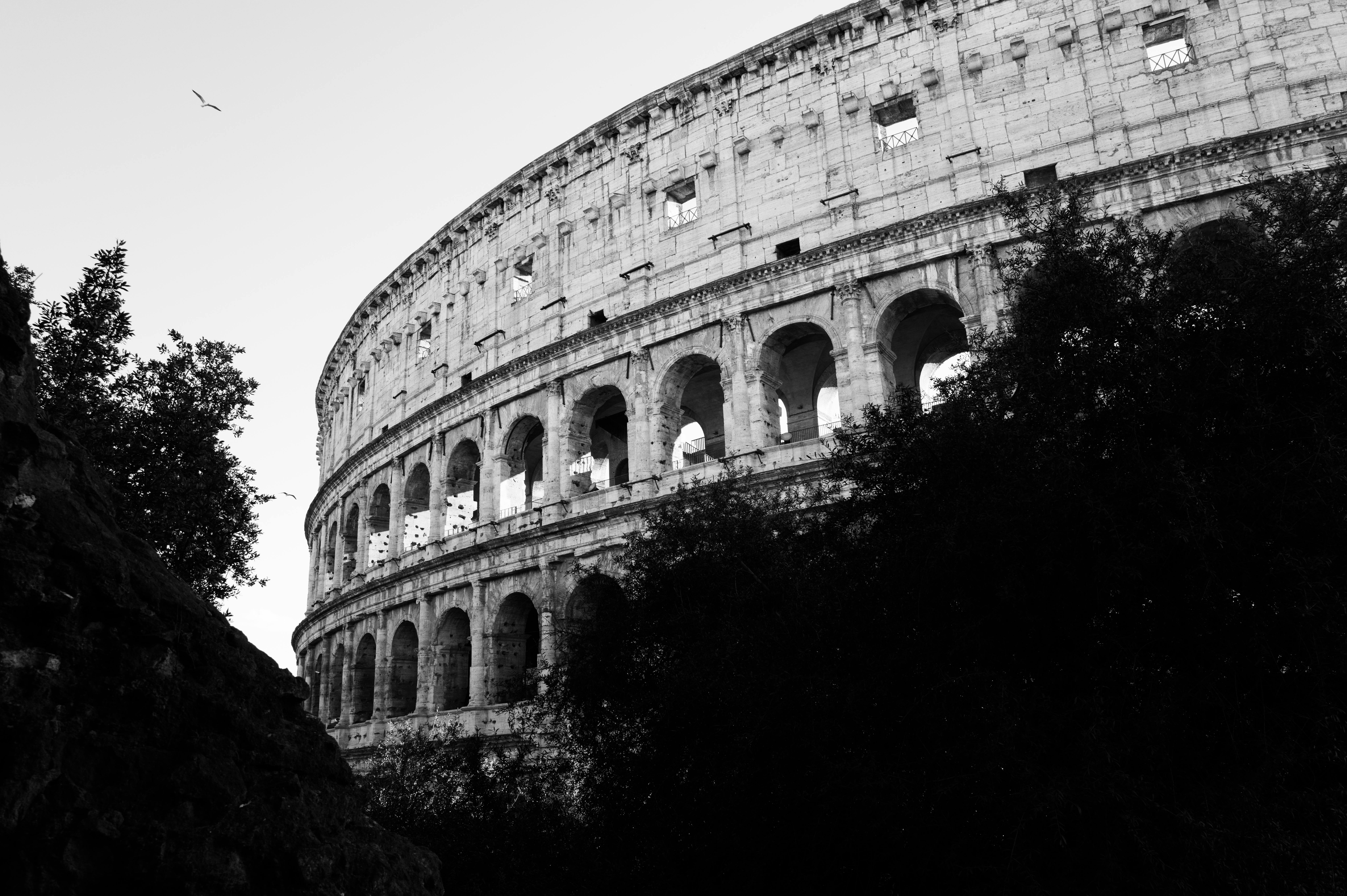 Gratis Colosseums storhed fanget i en dramatisk sort-hvid silhuet mod himlen. Lagerfoto