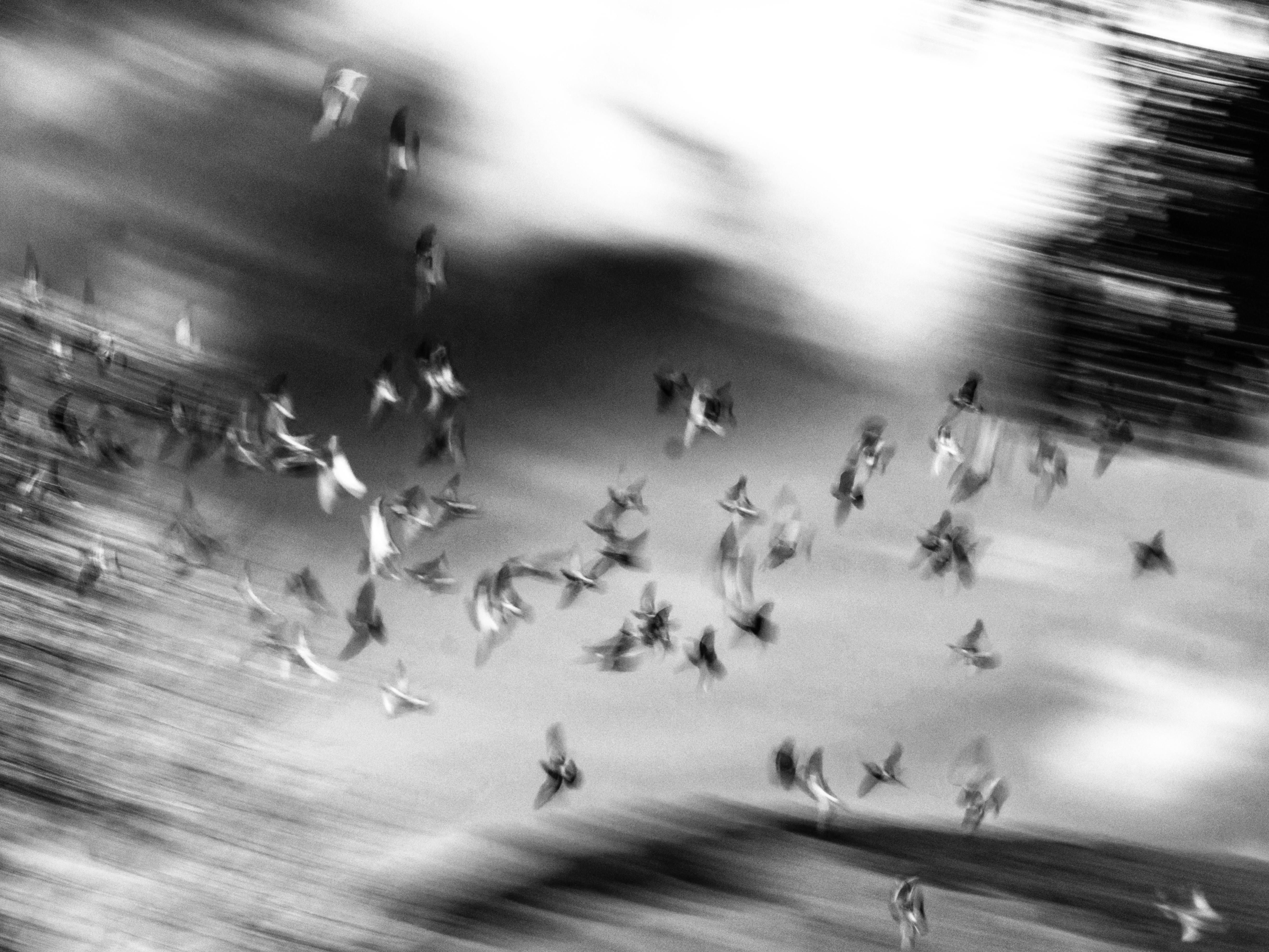 Gratis Immagine gratuita di aereo, ala, alato Foto a disposizione