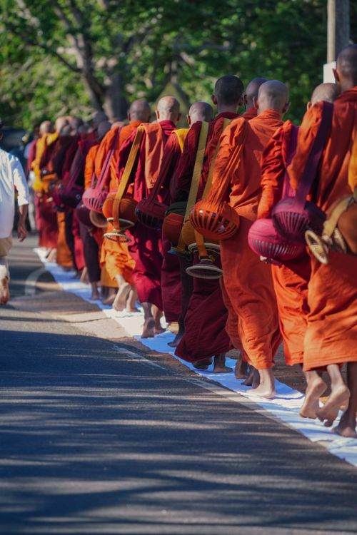 Free A procession of Buddhist monks in vibrant orange robes walking barefoot in Sri Lanka. Stock Photo