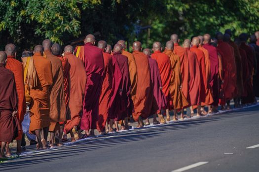 A procession of Buddhist monks in vibrant orange robes walking along a road in Sri Lanka.