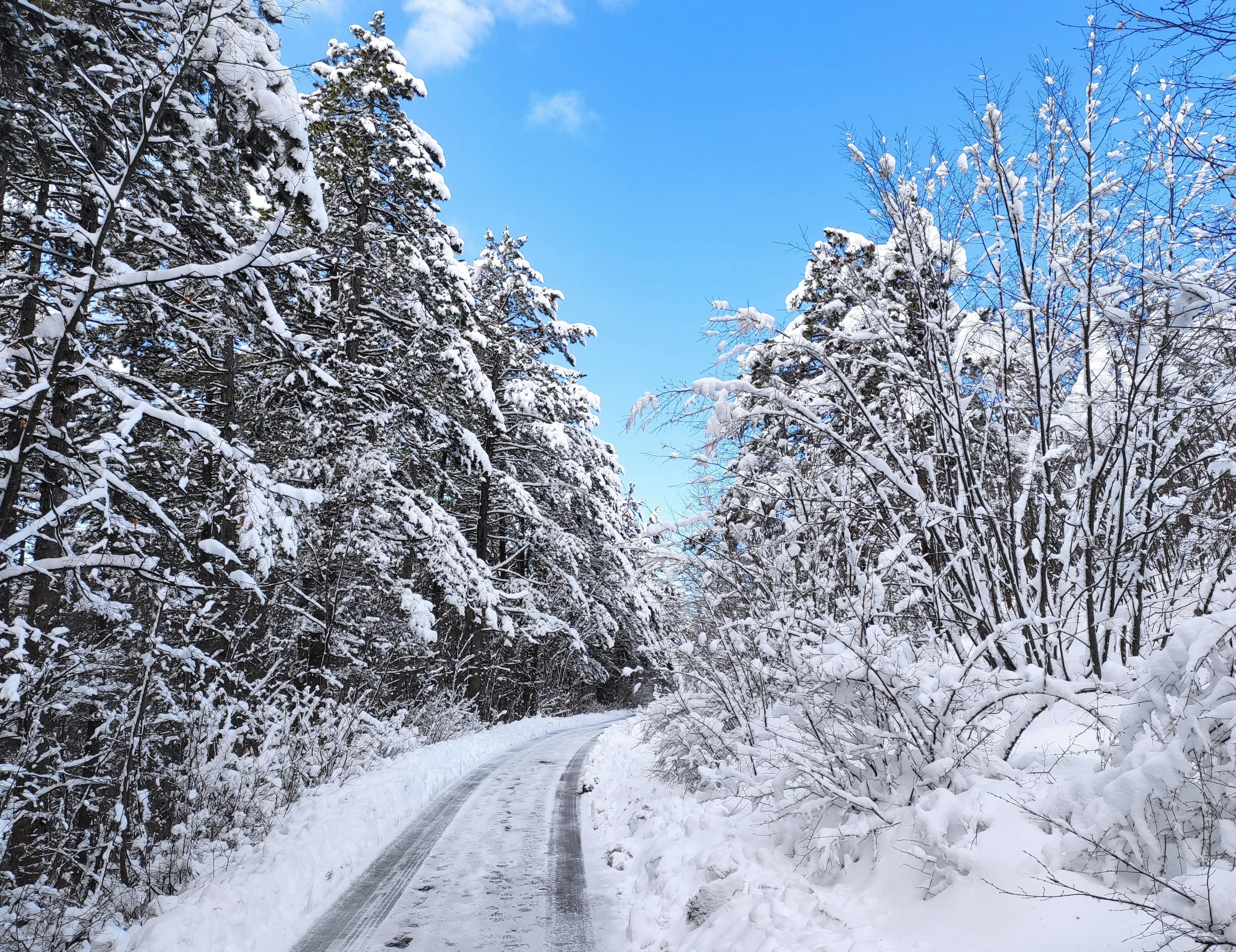 Healthspan White Paper: The Data-Driven Path to Longevity — Photo by Migdad Rešidović on Pexels