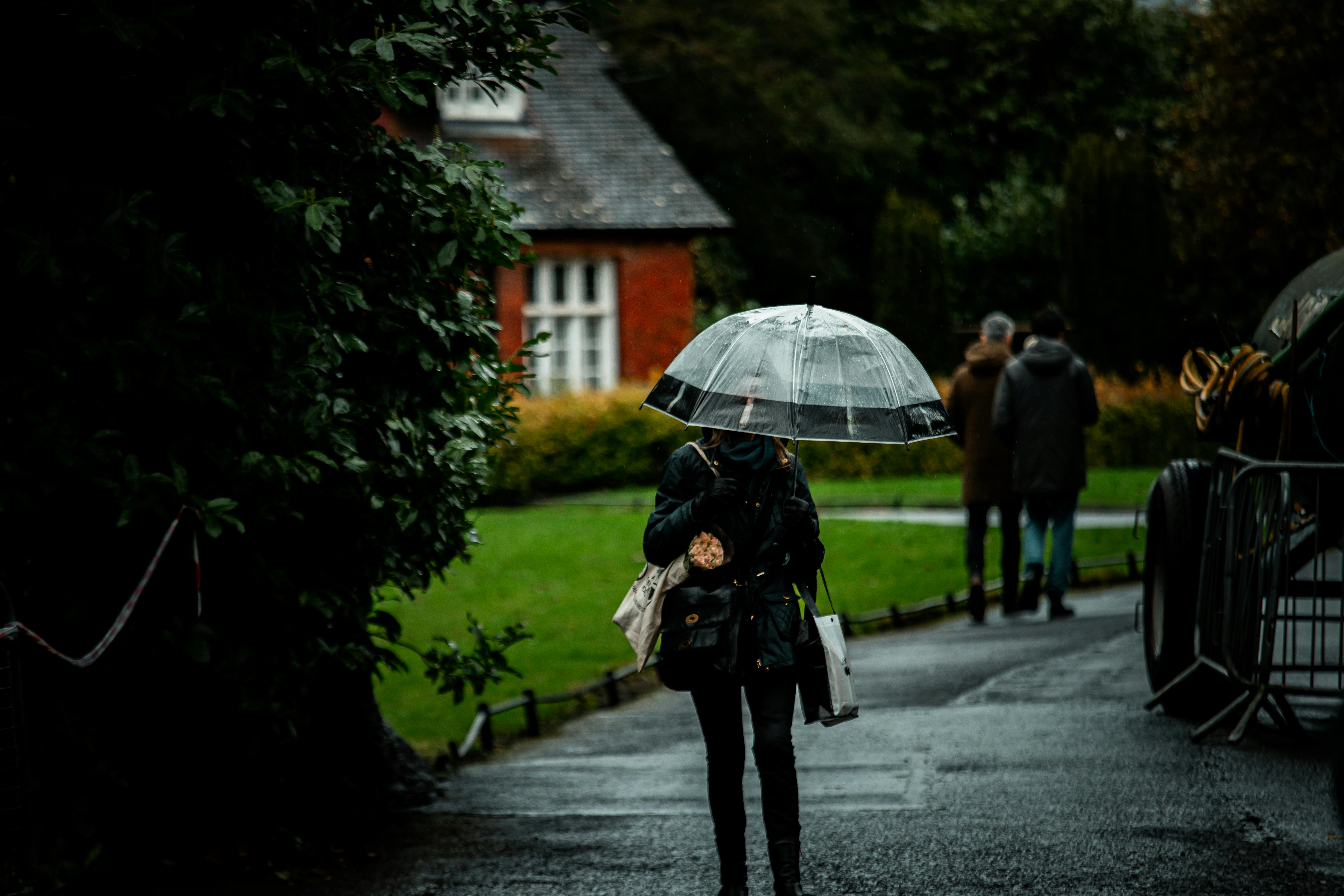 Gratis Una persona che cammina con un ombrello trasparente in una giornata di pioggia lungo il sentiero di un parco di Dublino, un'immagine che ritrae la vita urbana. Foto a disposizione