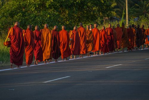 Free A group of Buddhist monks in vibrant robes walking on a sunlit road in Sri Lanka. Stock Photo