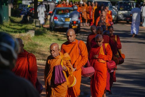 Free A group of Buddhist monks in orange robes participating in a pilgrimage along a sunny street in Sri Lanka. Stock Photo