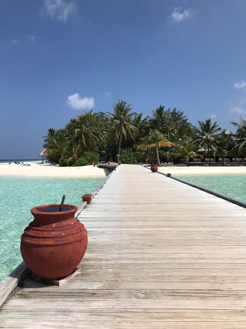 Free stock photo of maldives, paradise, travel Stock Photo