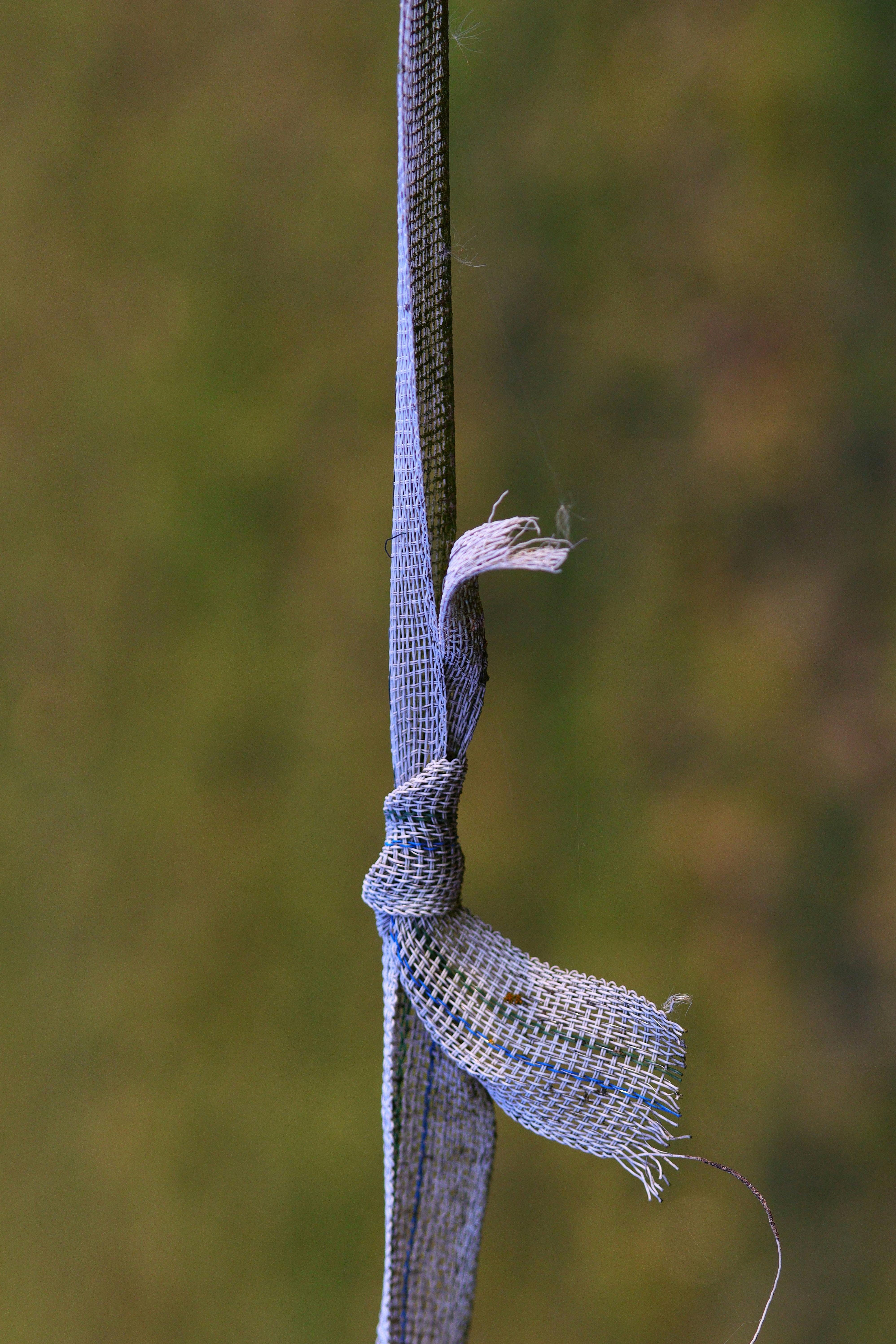 De franc Primer pla d'un nus de tela blava esfilagarsada, que destaca les textures i les fibres. Foto d'estoc
