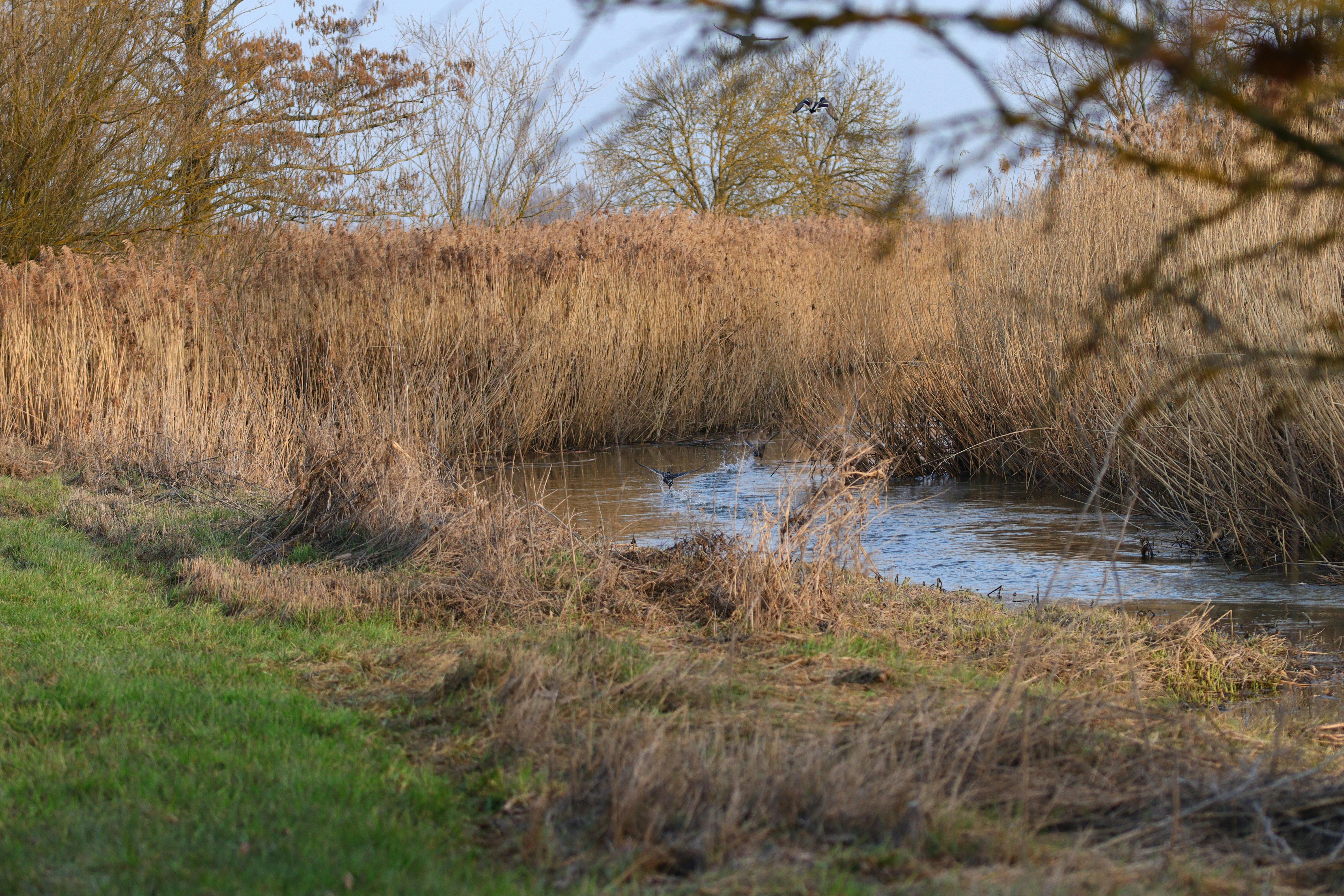 Europe Is Slowly Getting Ready to Ditch America