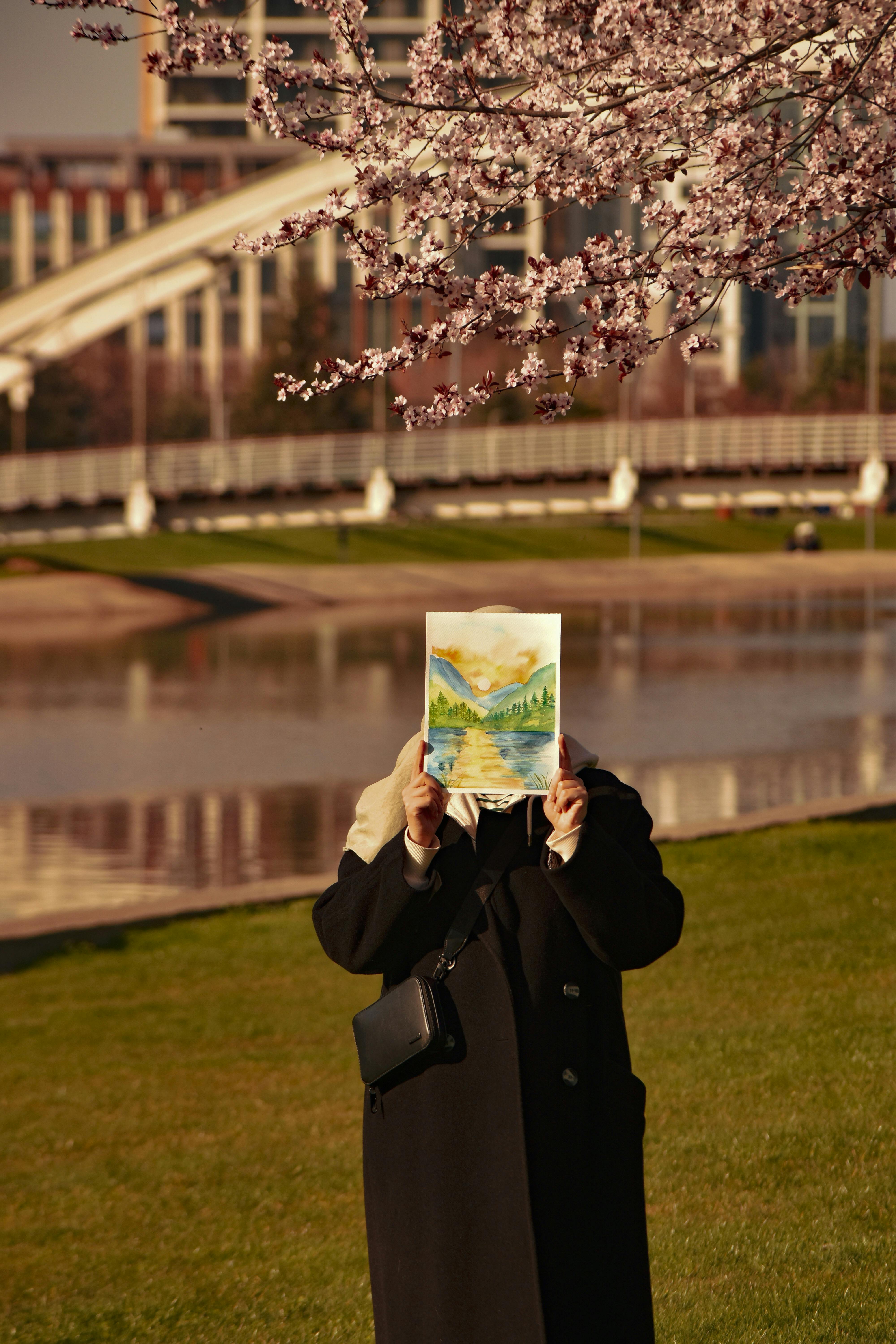 Gratis Una persona tiene un quadro davanti al viso, in piedi sotto i ciliegi in fiore lungo un fiume a Bursa, in Turchia. Foto a disposizione
