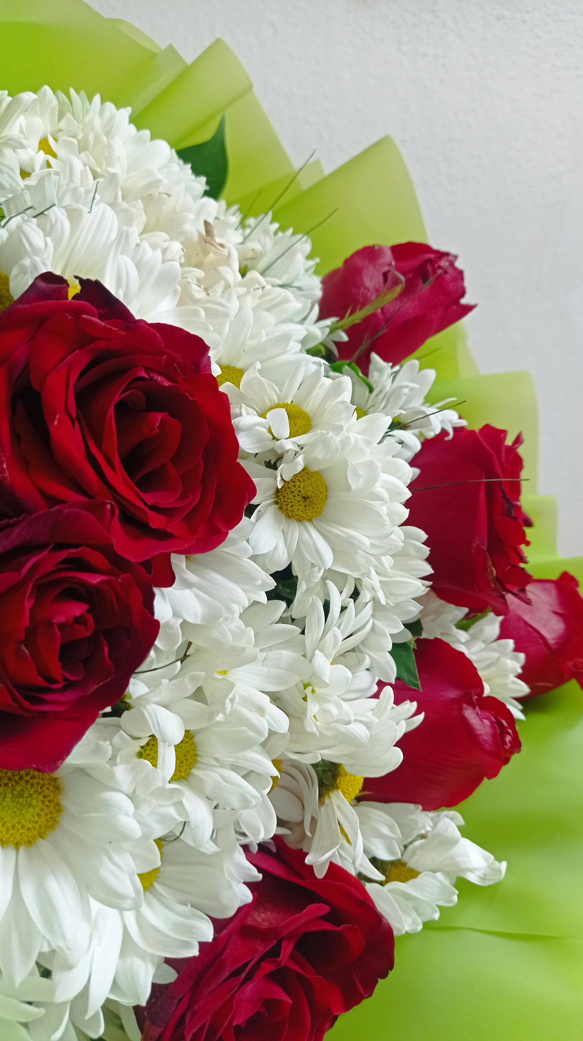 [ColoSach]-a-beautiful-bouquet-featuring-red-roses-and-white-daisies-with-green-wrapping,-perfect-for-celebrations.