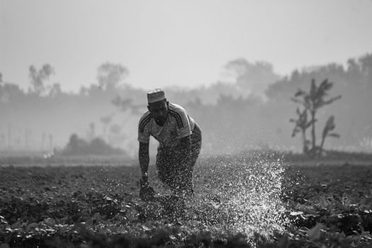 A farmer irrigates crops in early morning mist. Black and white rural scene.