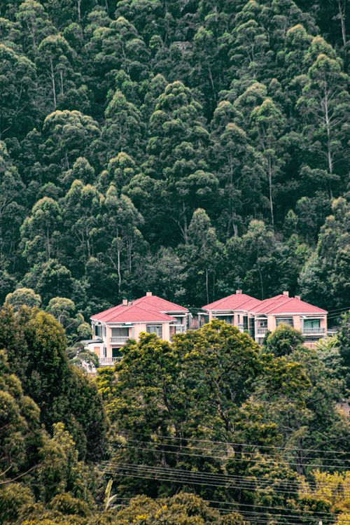Free Beautiful luxury homes surrounded by dense forest in Mbabane, Hhohho Region, Eswatini. Stock Photo