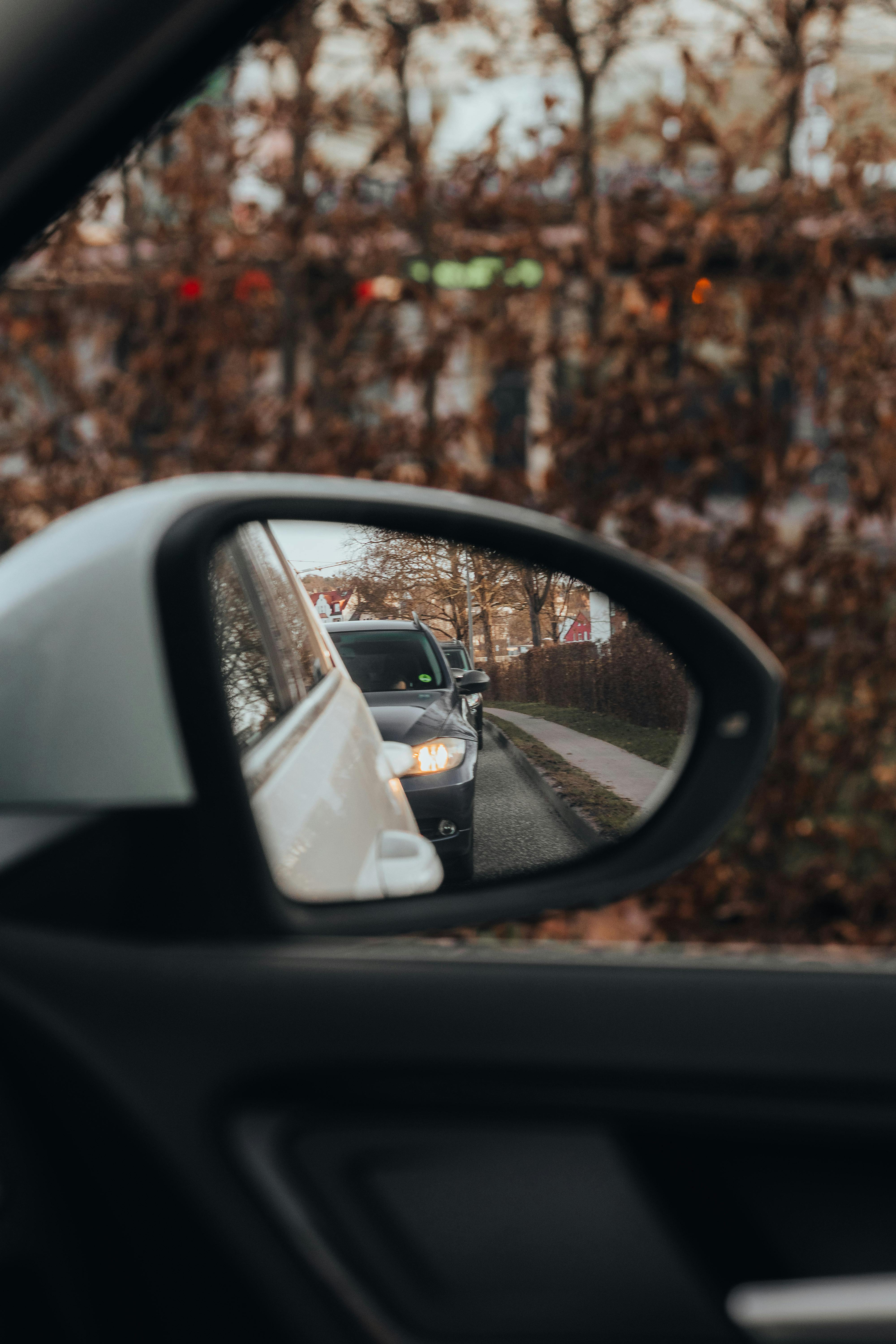 Gratis Immagine gratuita di alberi, architettura barocca, architettura europea Foto a disposizione