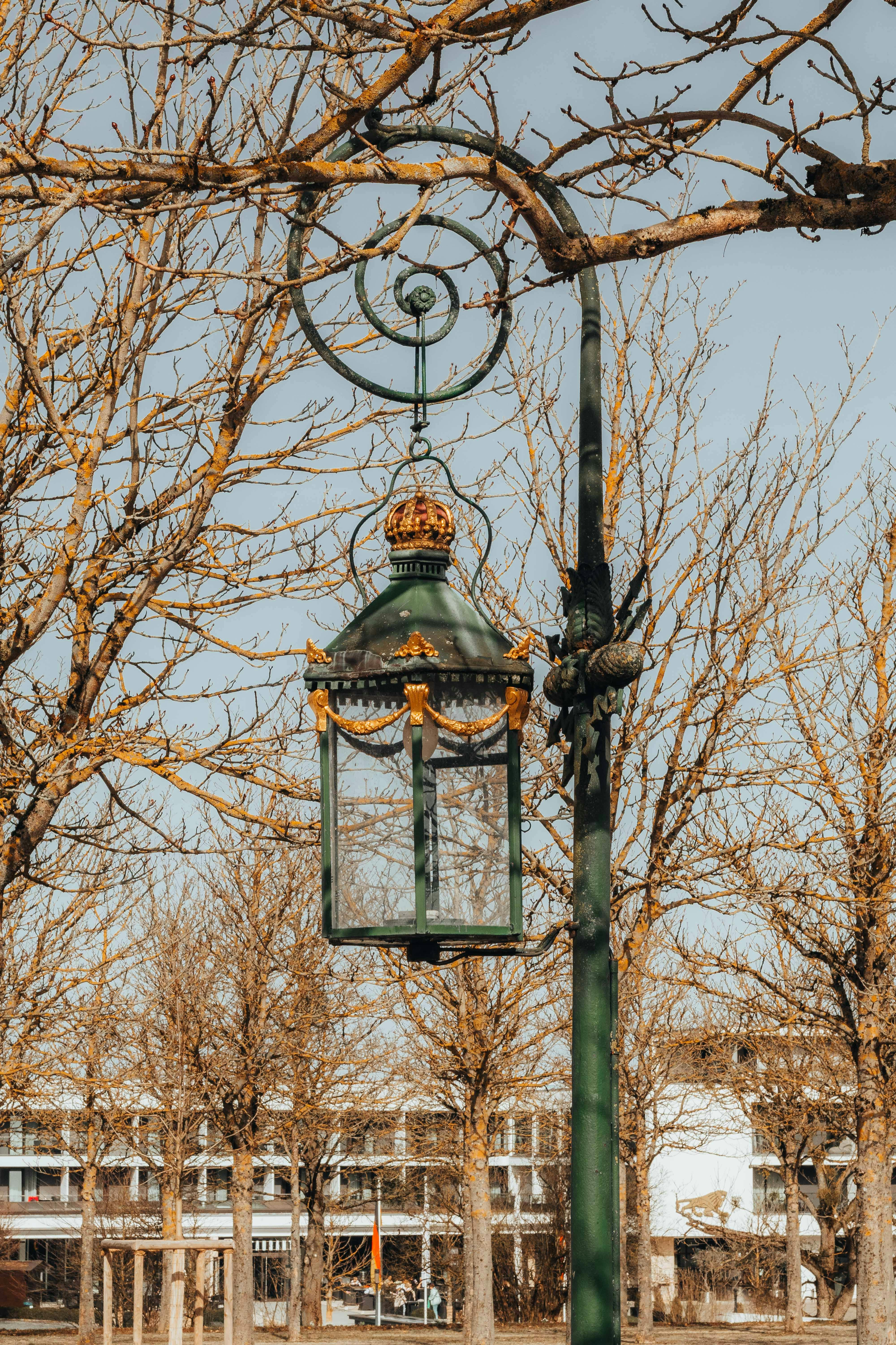 grátis Lanterna de estilo barroco entre árvores sem folhas no Parque Wilhelmshöhe, Kassel, Alemanha durante o inverno. Foto profissional