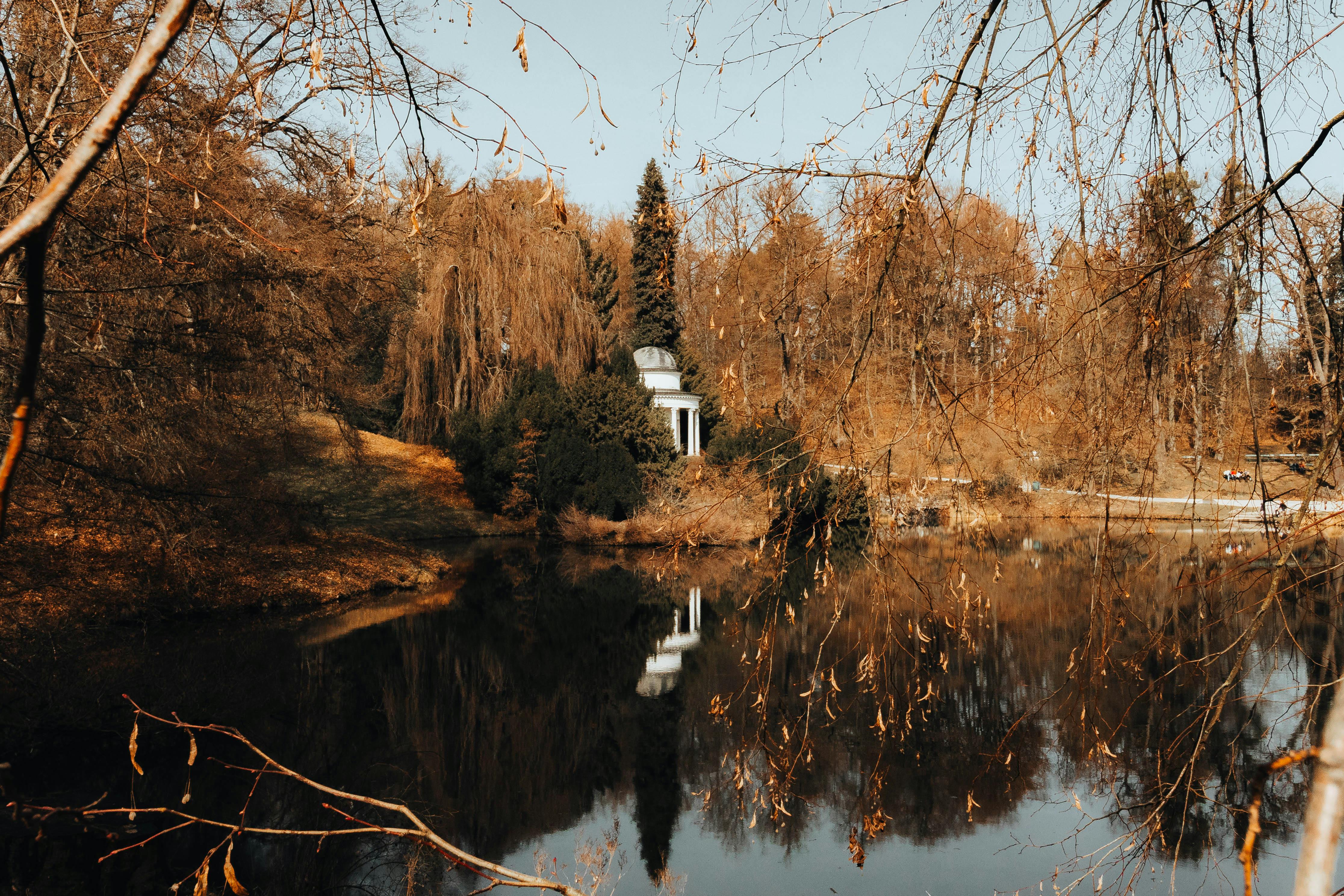Gratis Esplora la serena bellezza del parco Wilhelmshöhe a Kassel, in Germania. Foto a disposizione